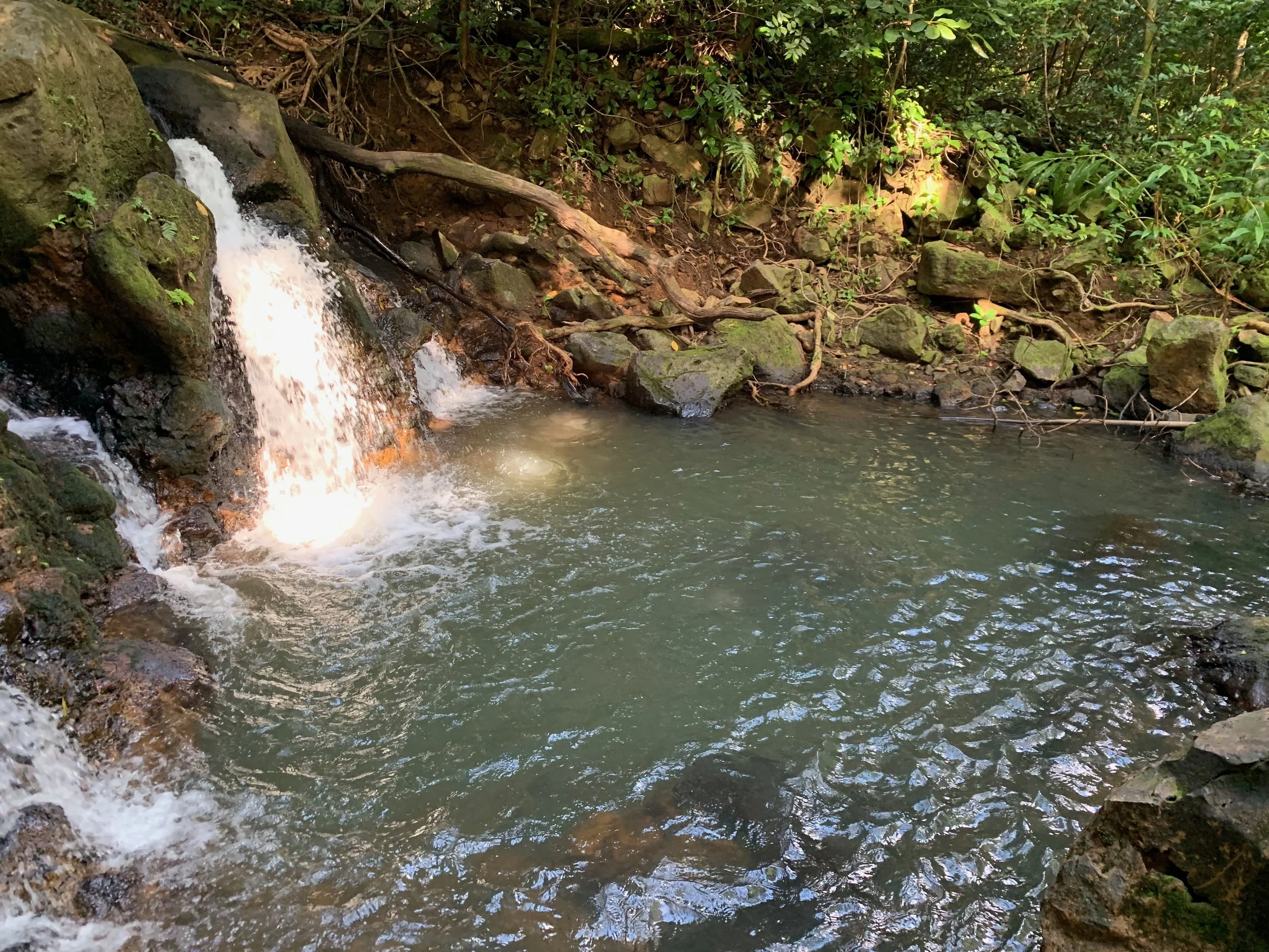 (265)  They Double Our Control-Showing Cuebid