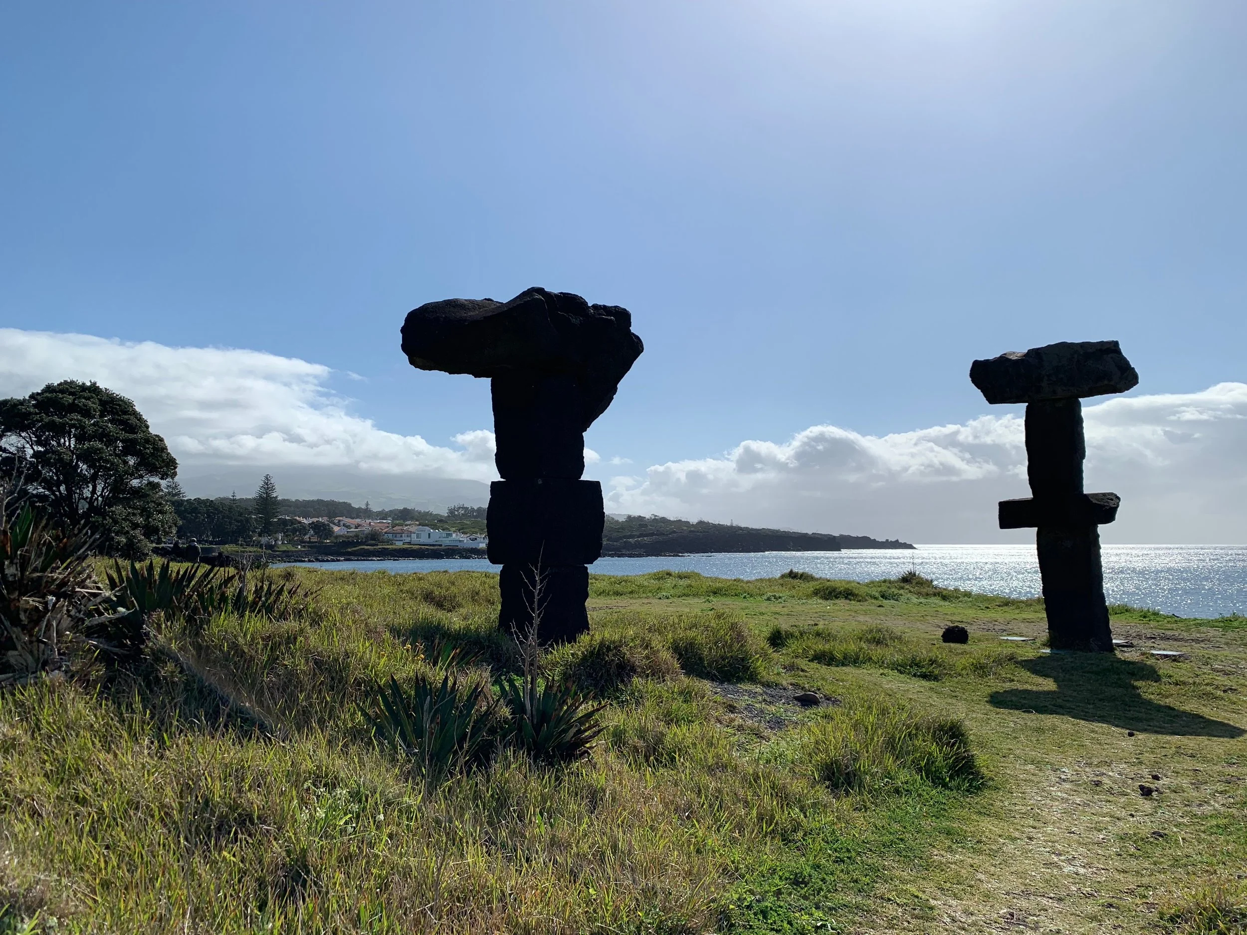 (278) More Suit Preference Signals