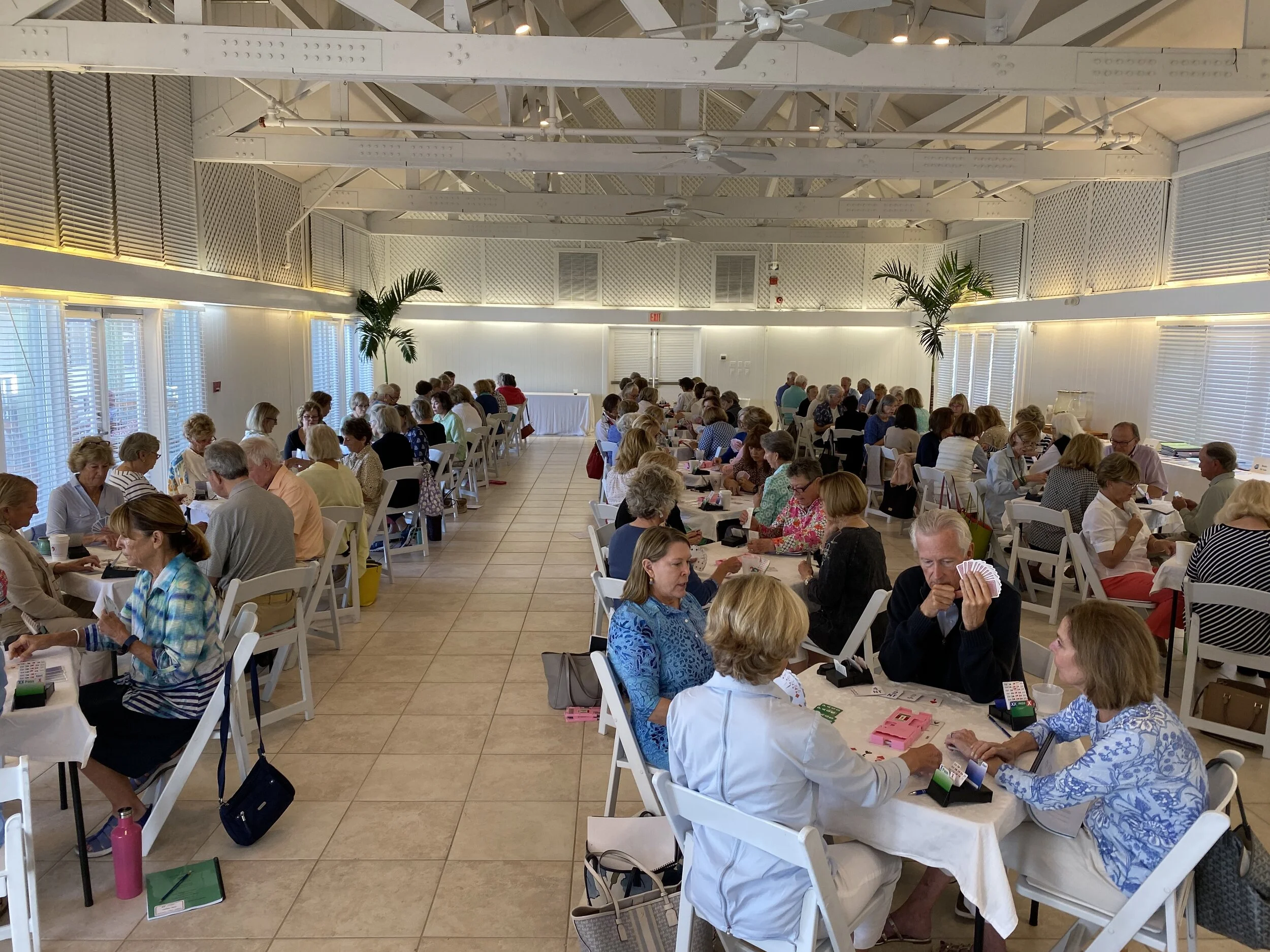 (300) Positive Freebid vs. Negative Double