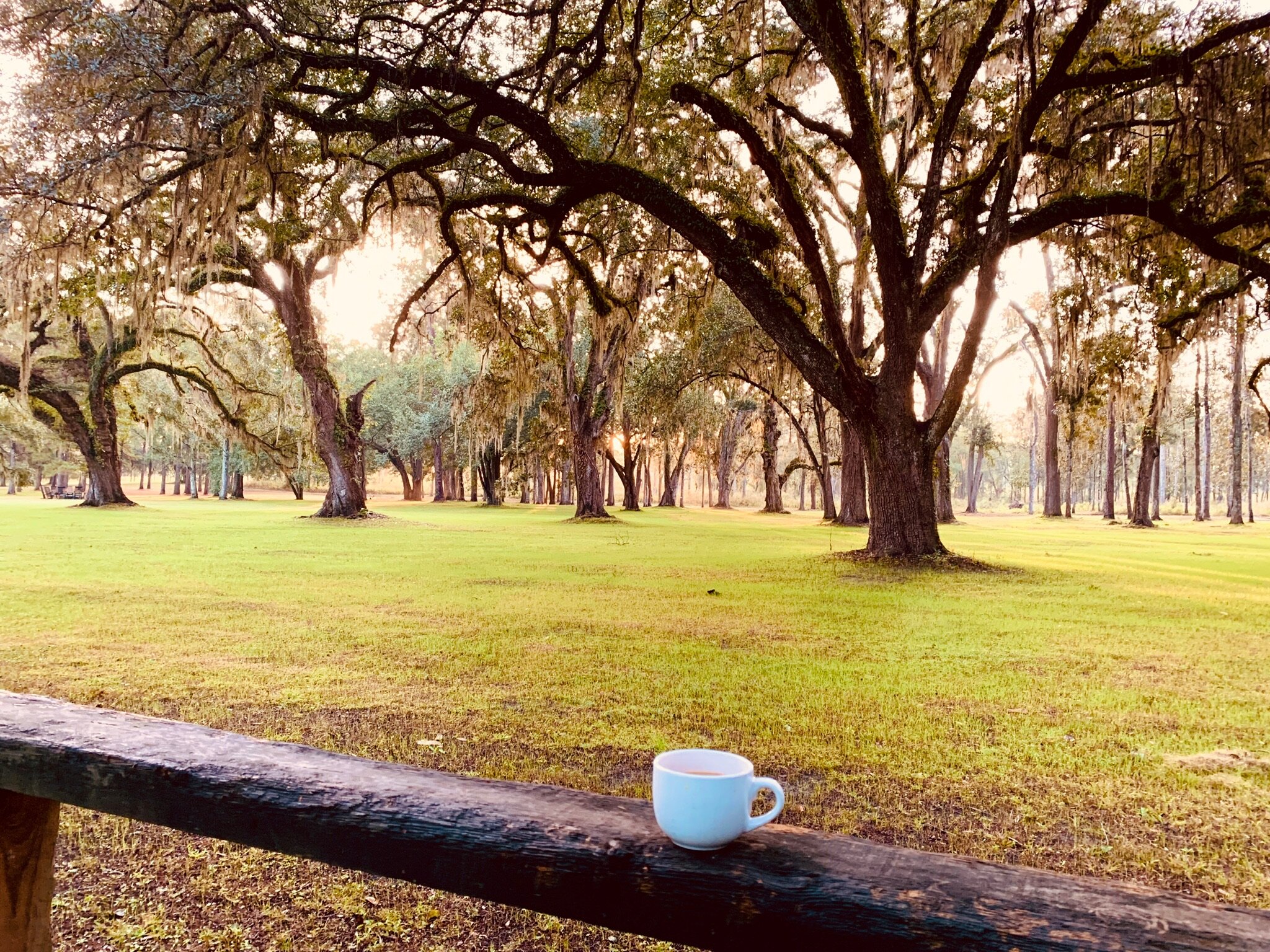 (301) Hand Evaluation Opposite Preemptive Openings