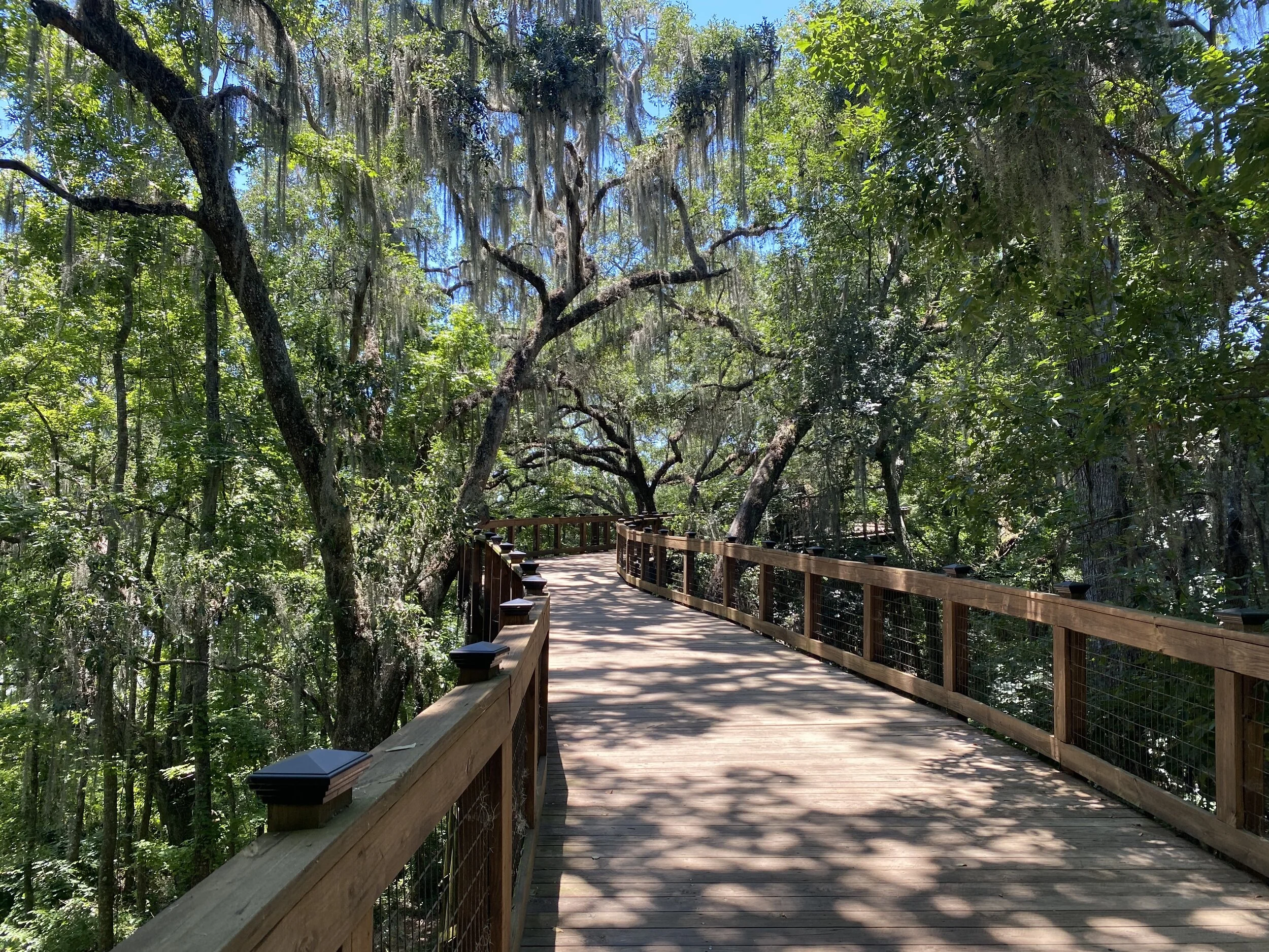 (325)  Balancing Seat Overcalls