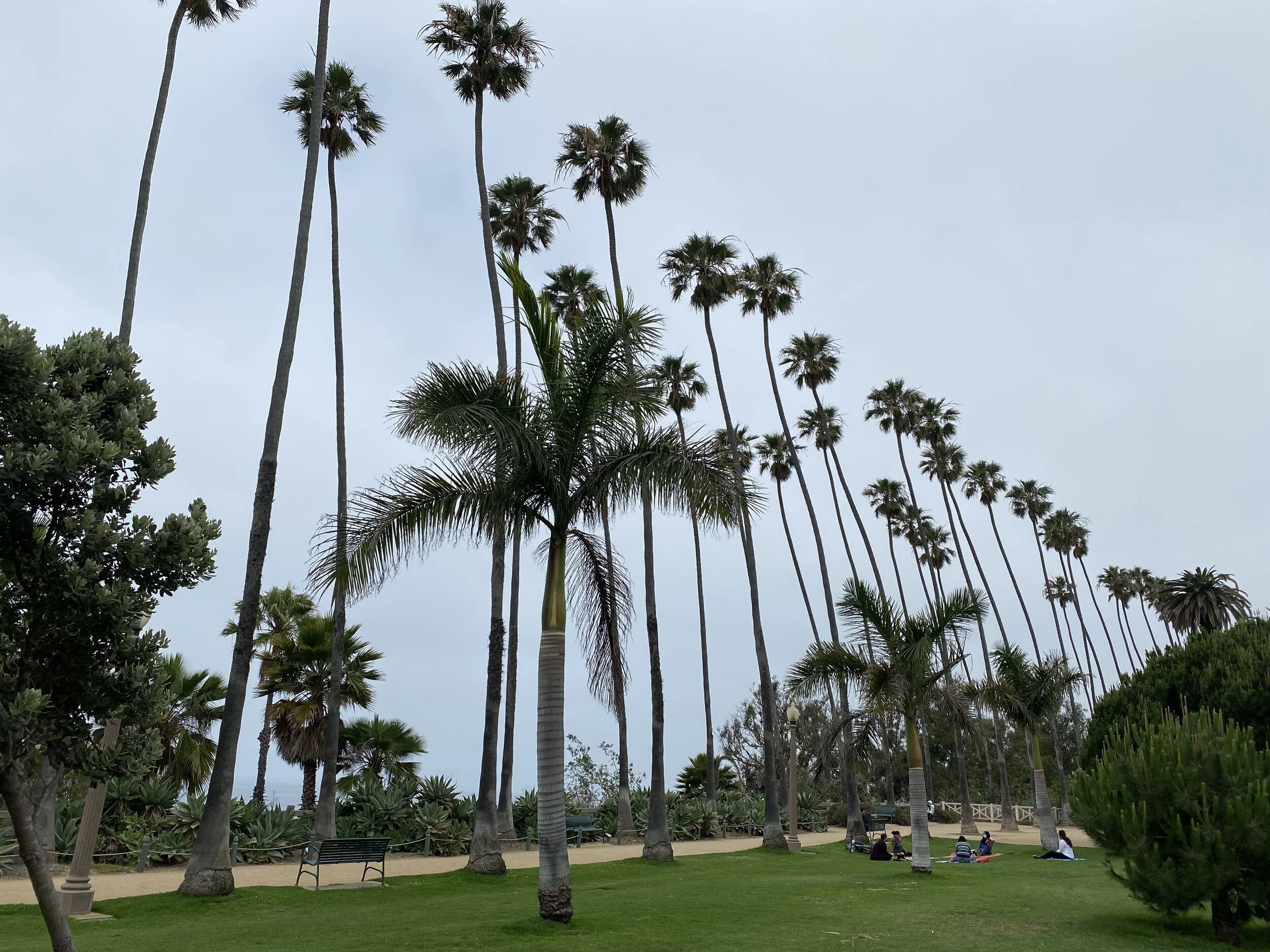 (327)  Higher Level Jump Overcalls