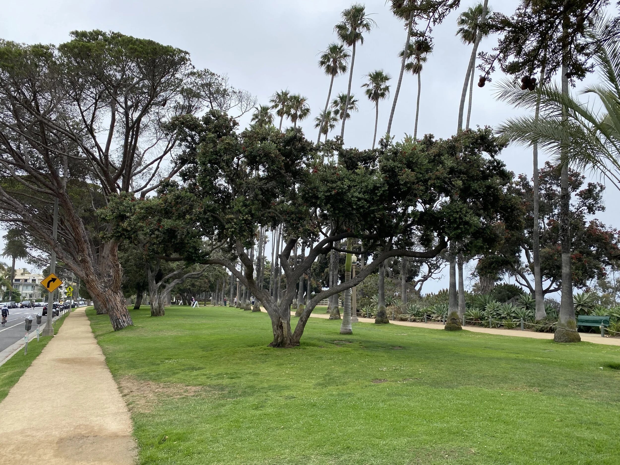 (326) Notrump Overcalls