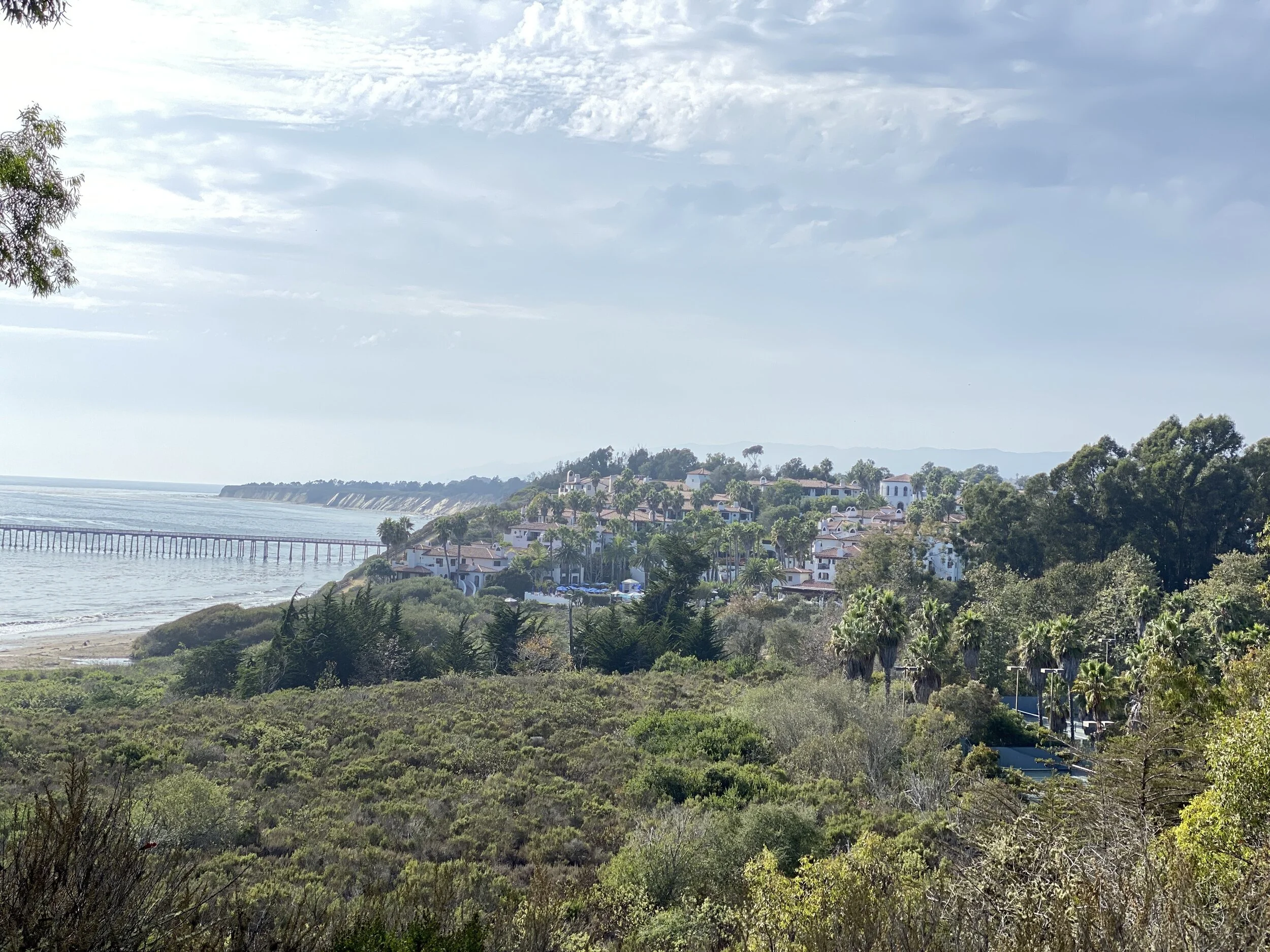 (338) Balanced Opening Hands