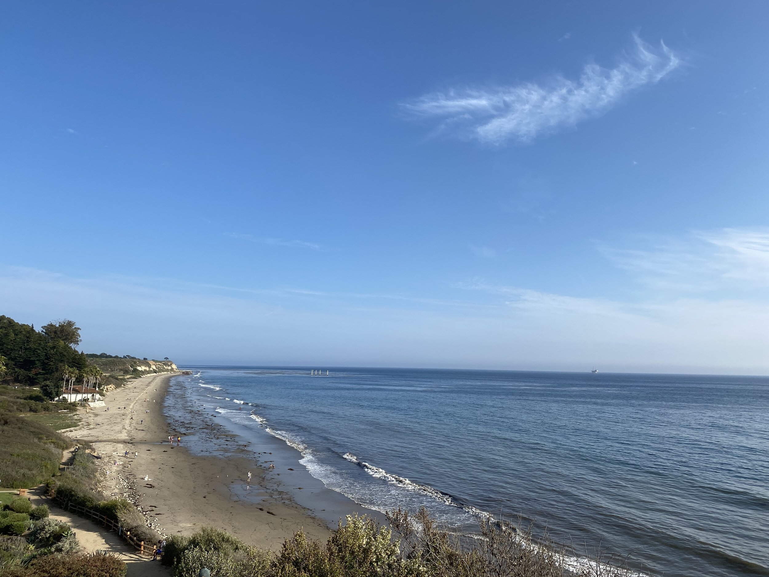 (339) Unbalanced 1-Suited Opening Hands