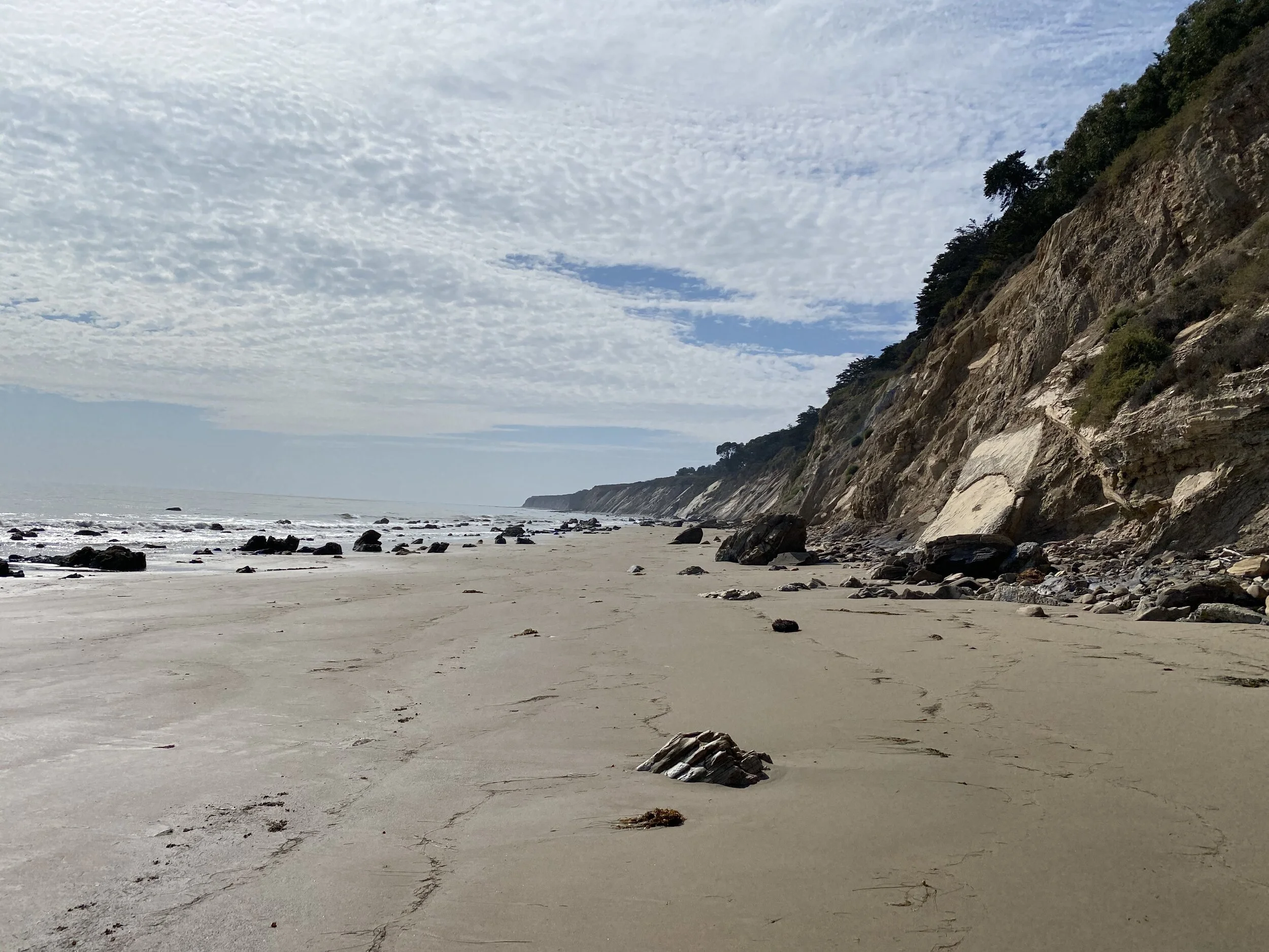 (341) Strong Unbalanced 2-Suited Opening Hands