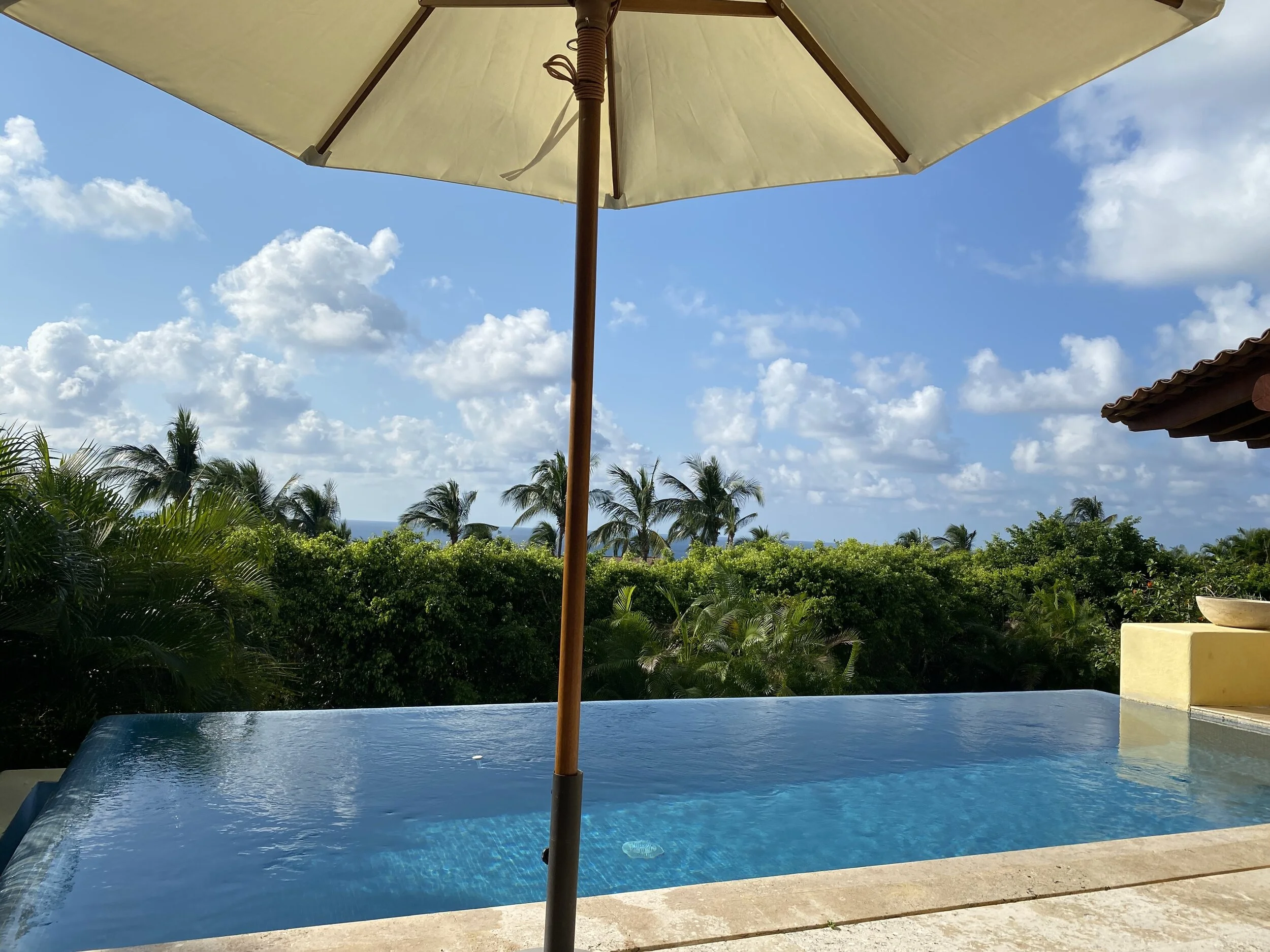 (343) Opener's Rebids After a Negative Double