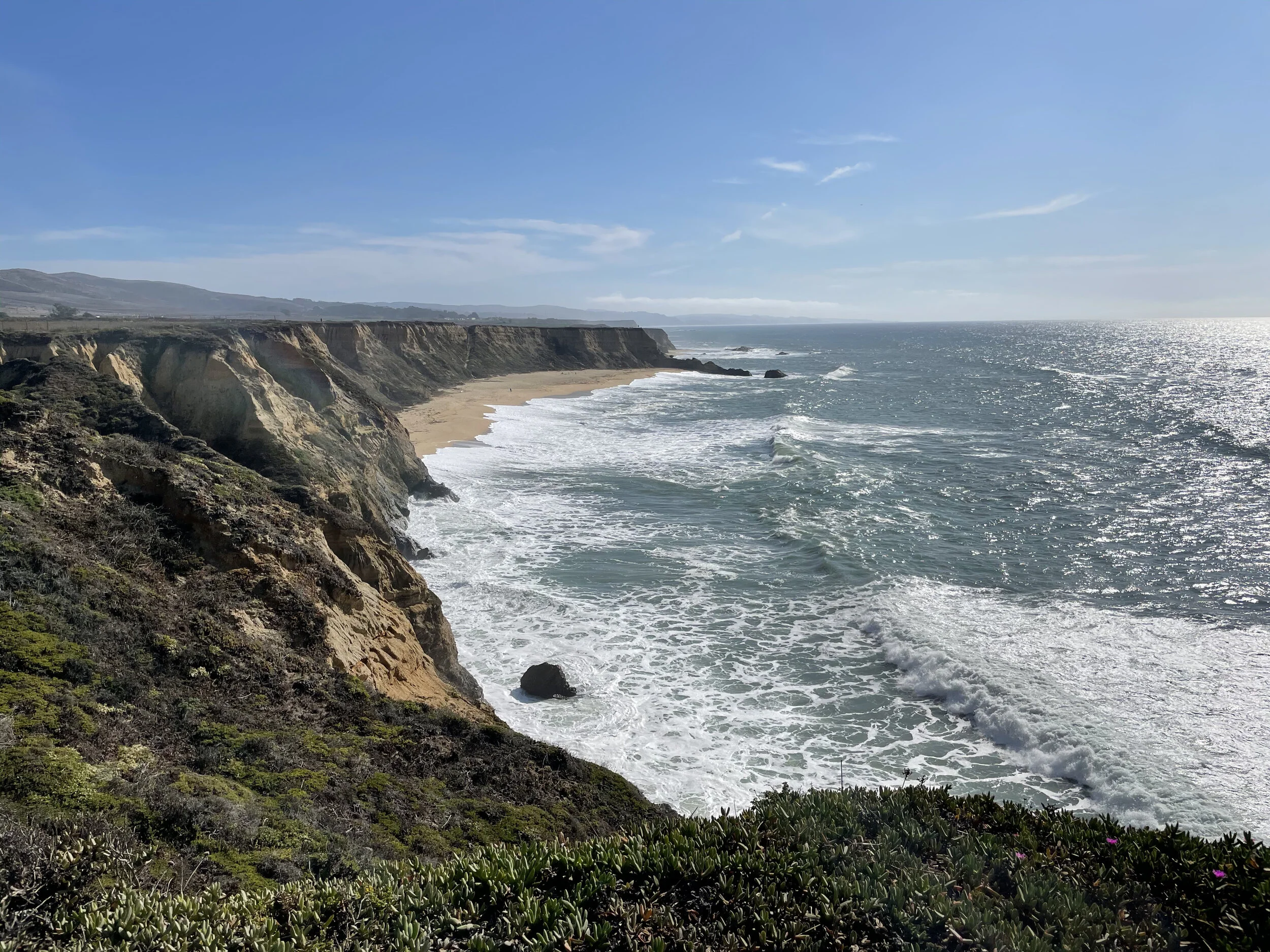 (346) Opening Leads vs. NT Opening Bids