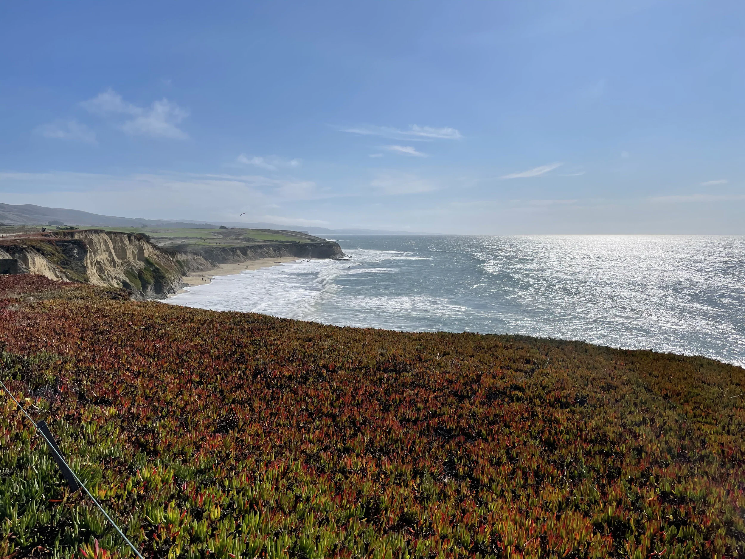 (348) Opening Leads vs. 4M Contracts