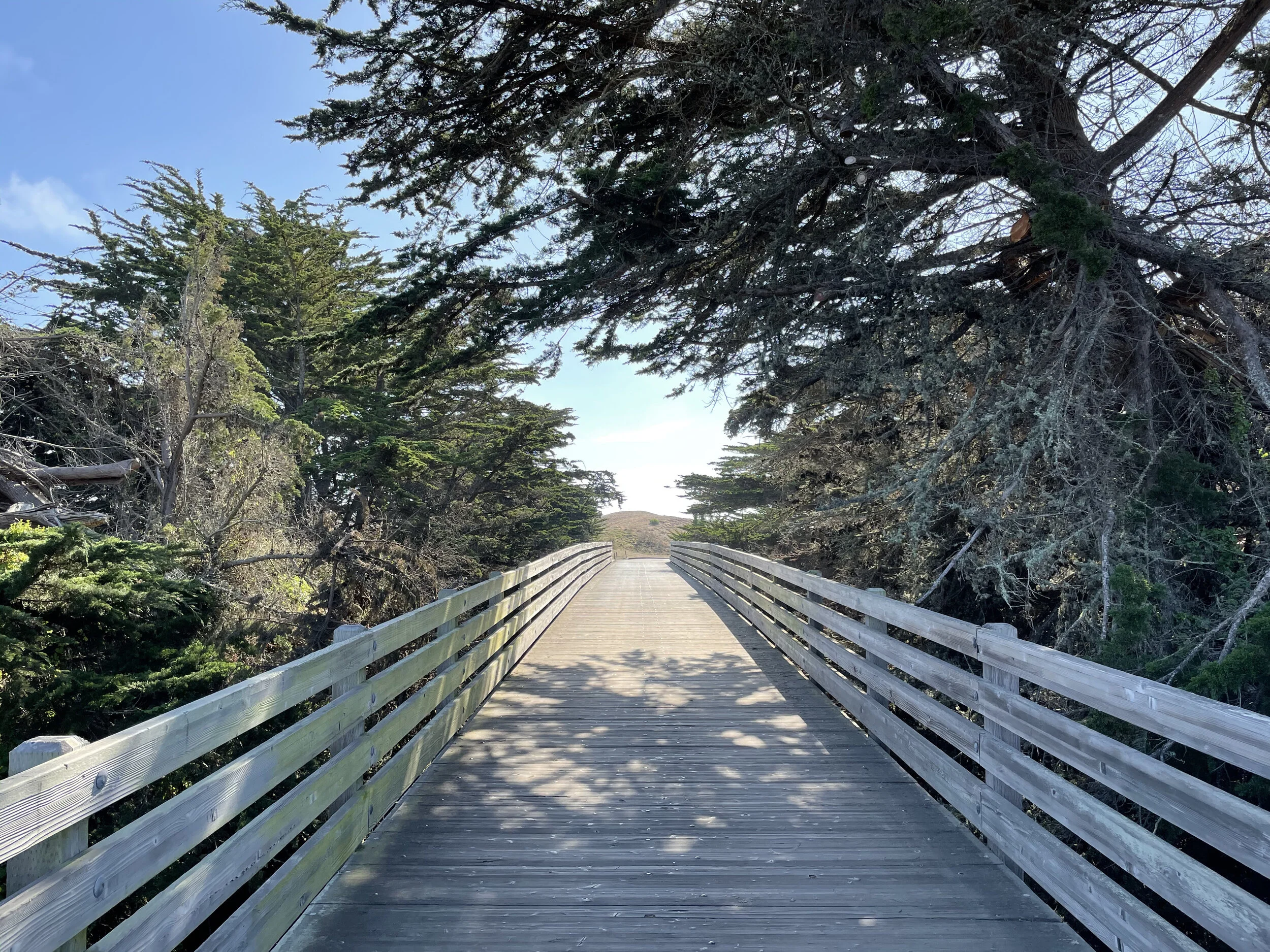 (349) Opening Leads vs. 5-minor Contracts