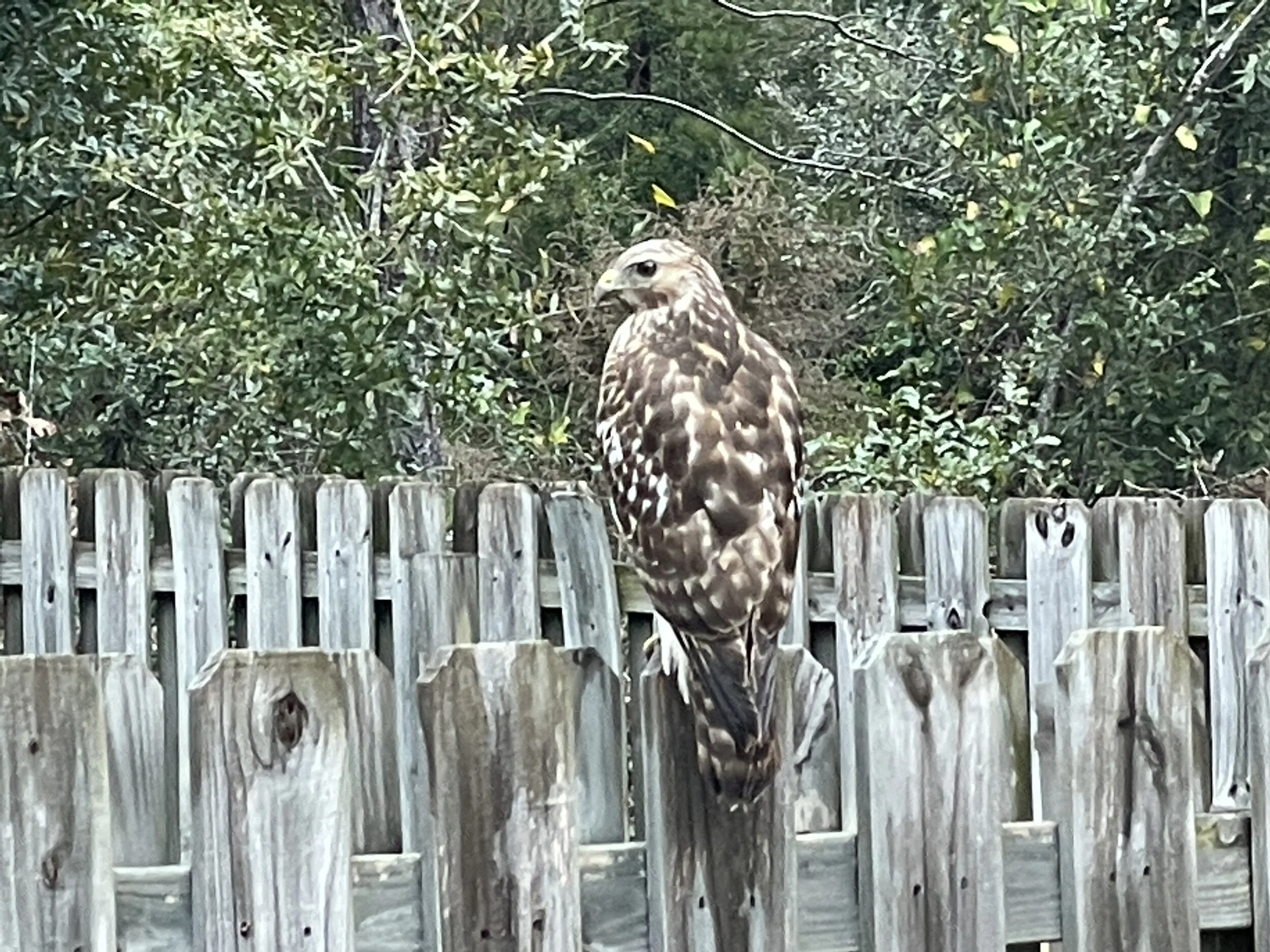 (358) Second Round Doubles