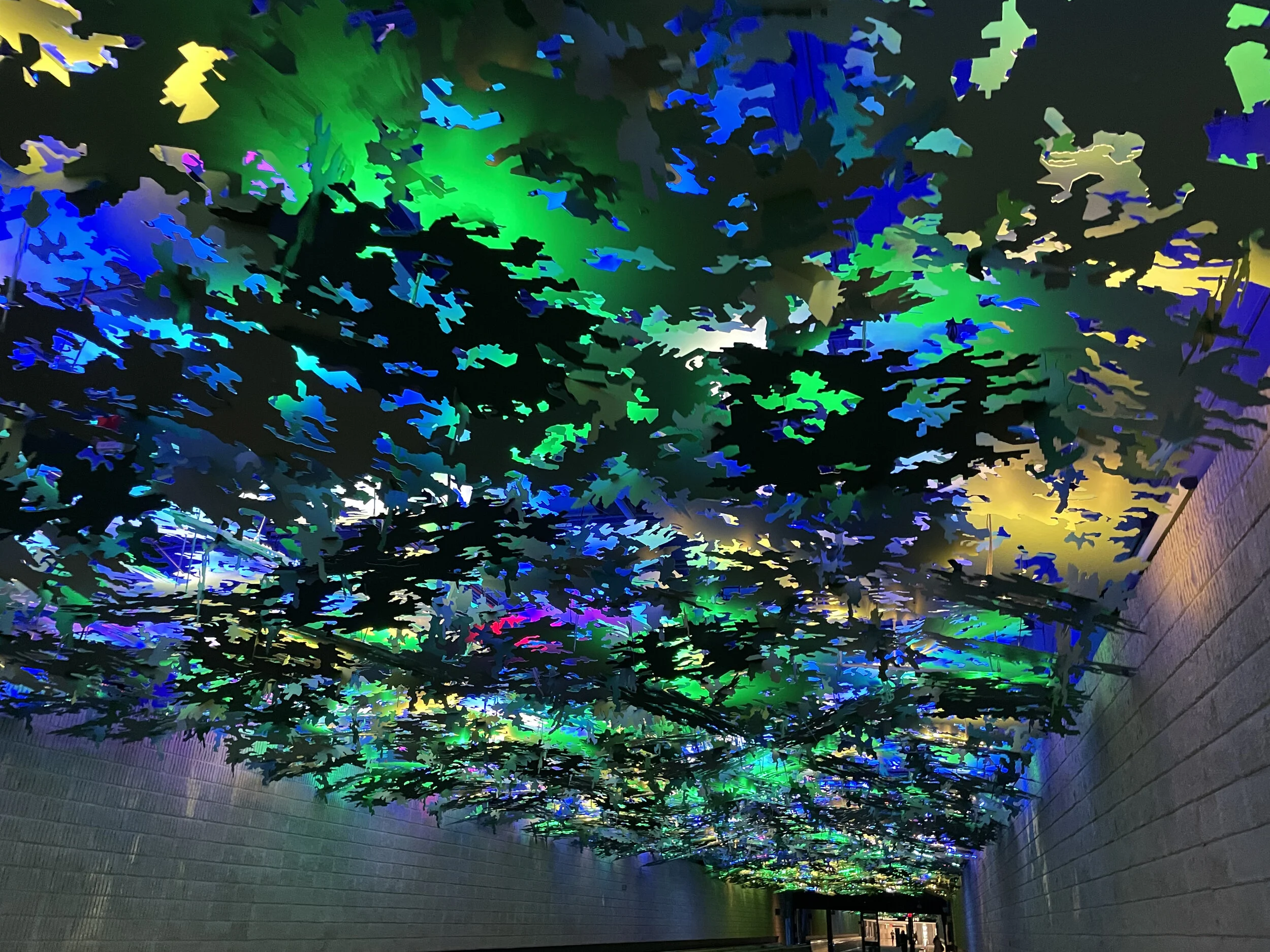 (364)  Responder's Rebids After a Support Double