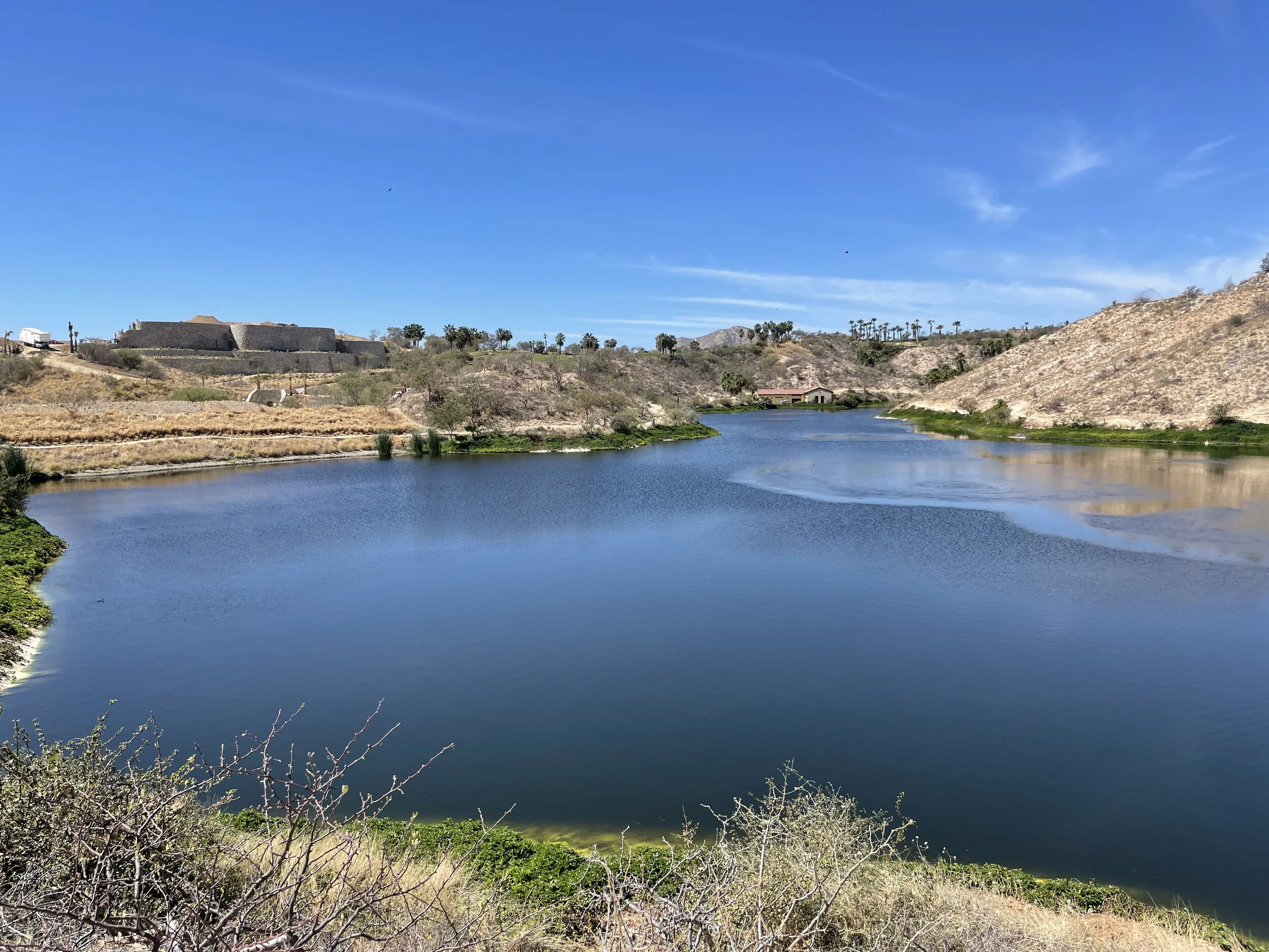 (365)  Responder's Rebids After Making a Negative Double