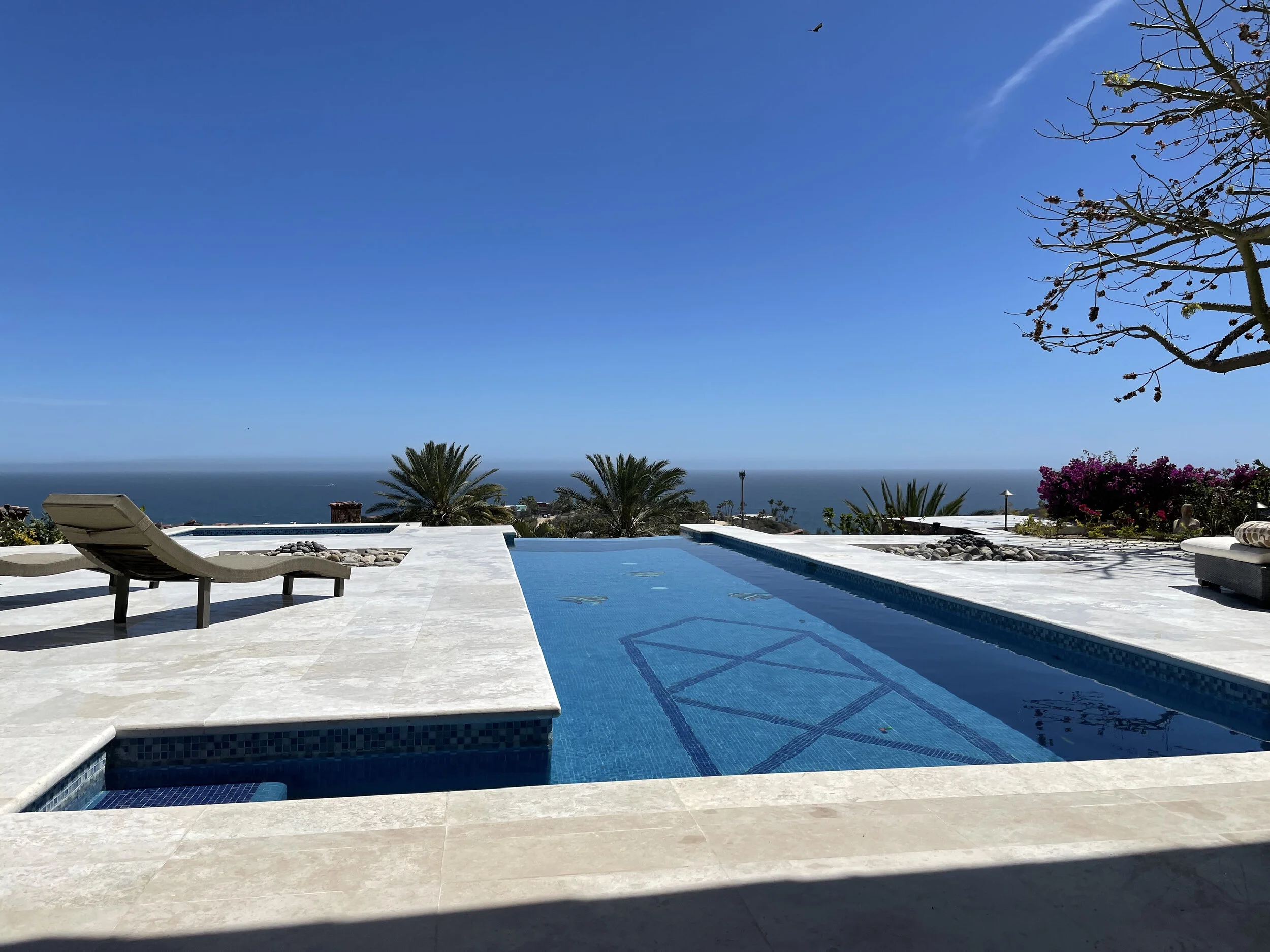 (366)  Responder's Rebids After Making a Freebid