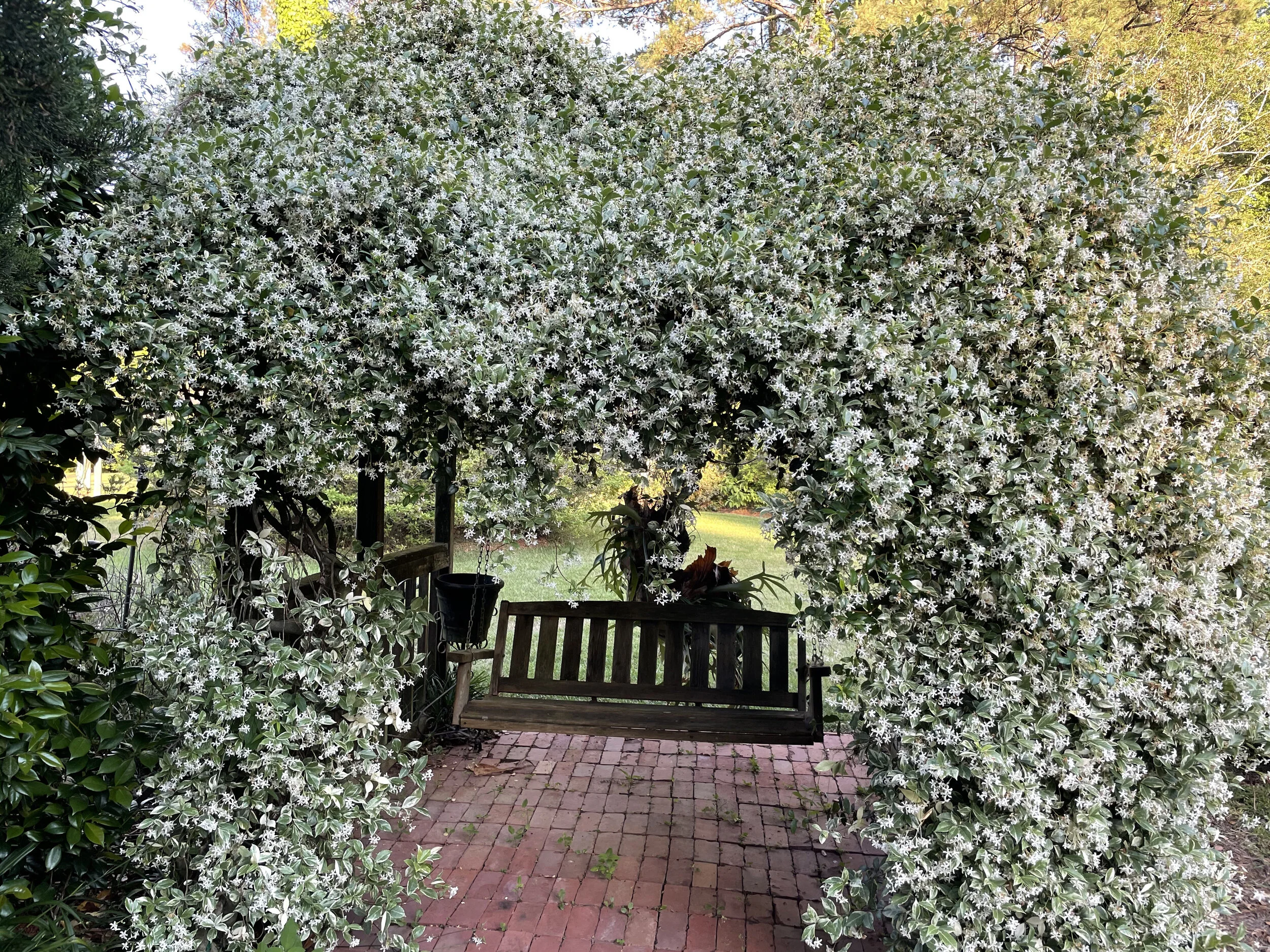 (370)   2 over 1 Game Forcing:  1D - 2C Auctions