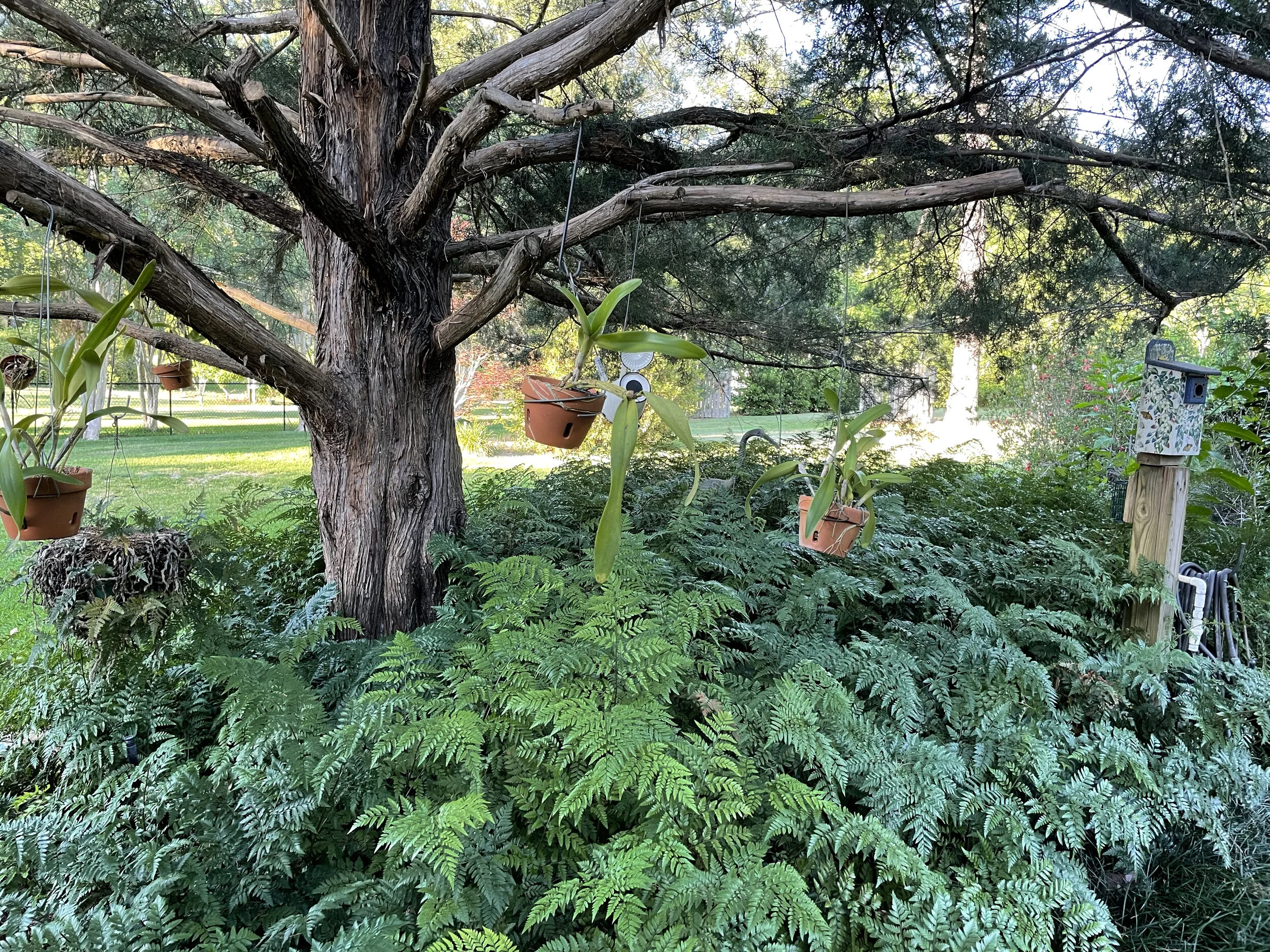 (371)  2 over 1 Game Forcing:  Opener's Rebids