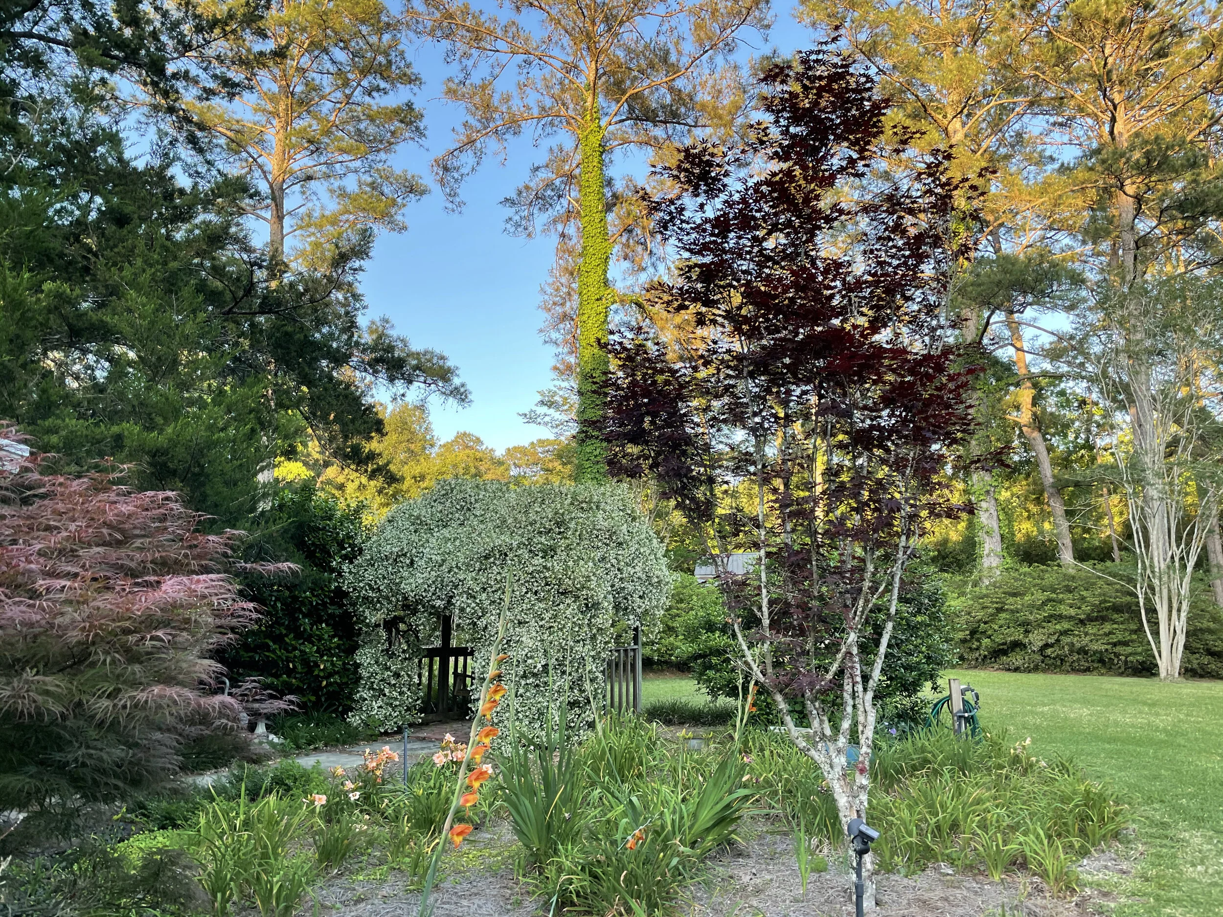 (372) 2 over 1 Game Forcing: Responder's Rebids