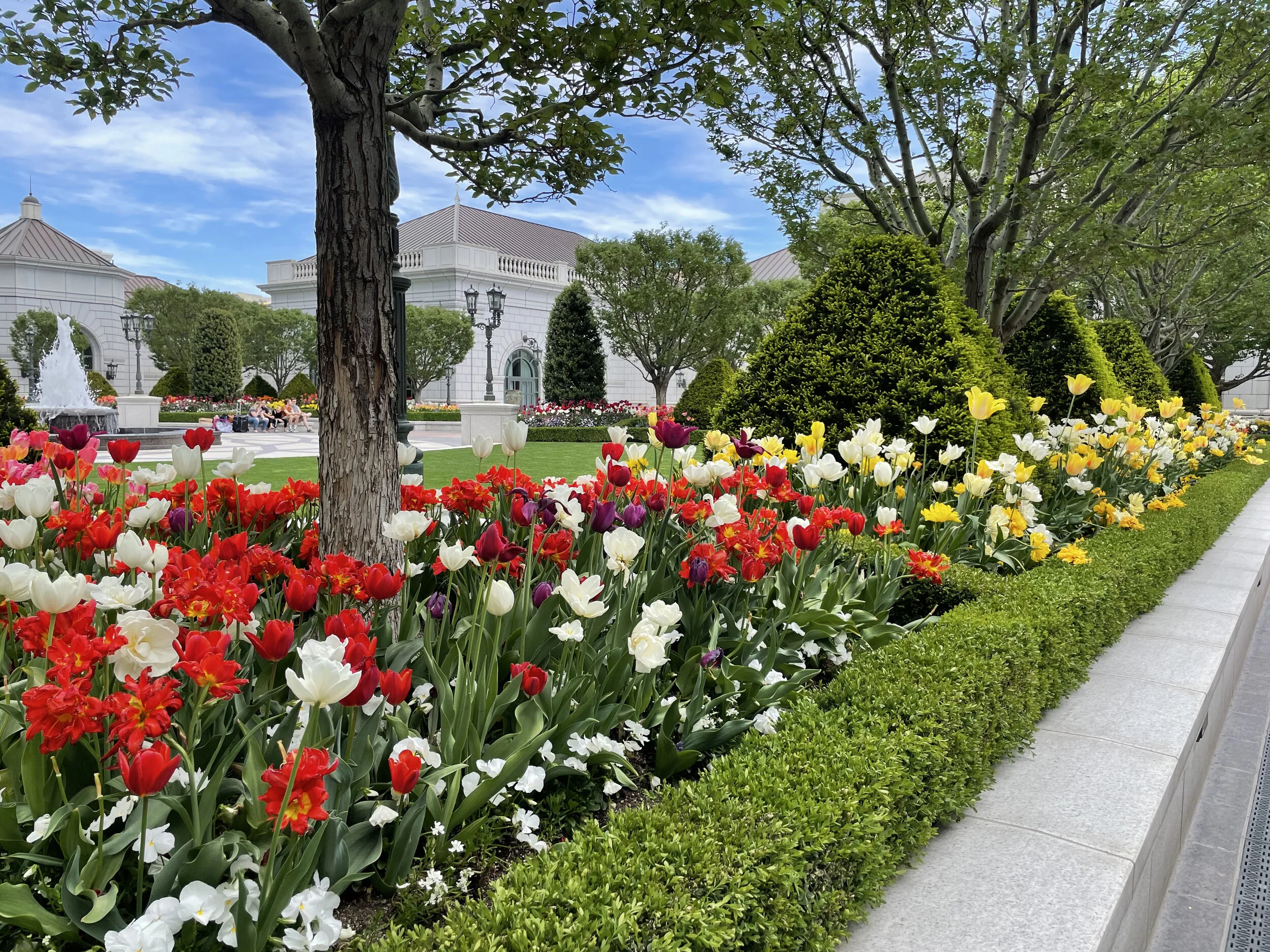 (373)  2 over 1 Game Forcing:  Responding to 1M with Non-Game-Forcing Values