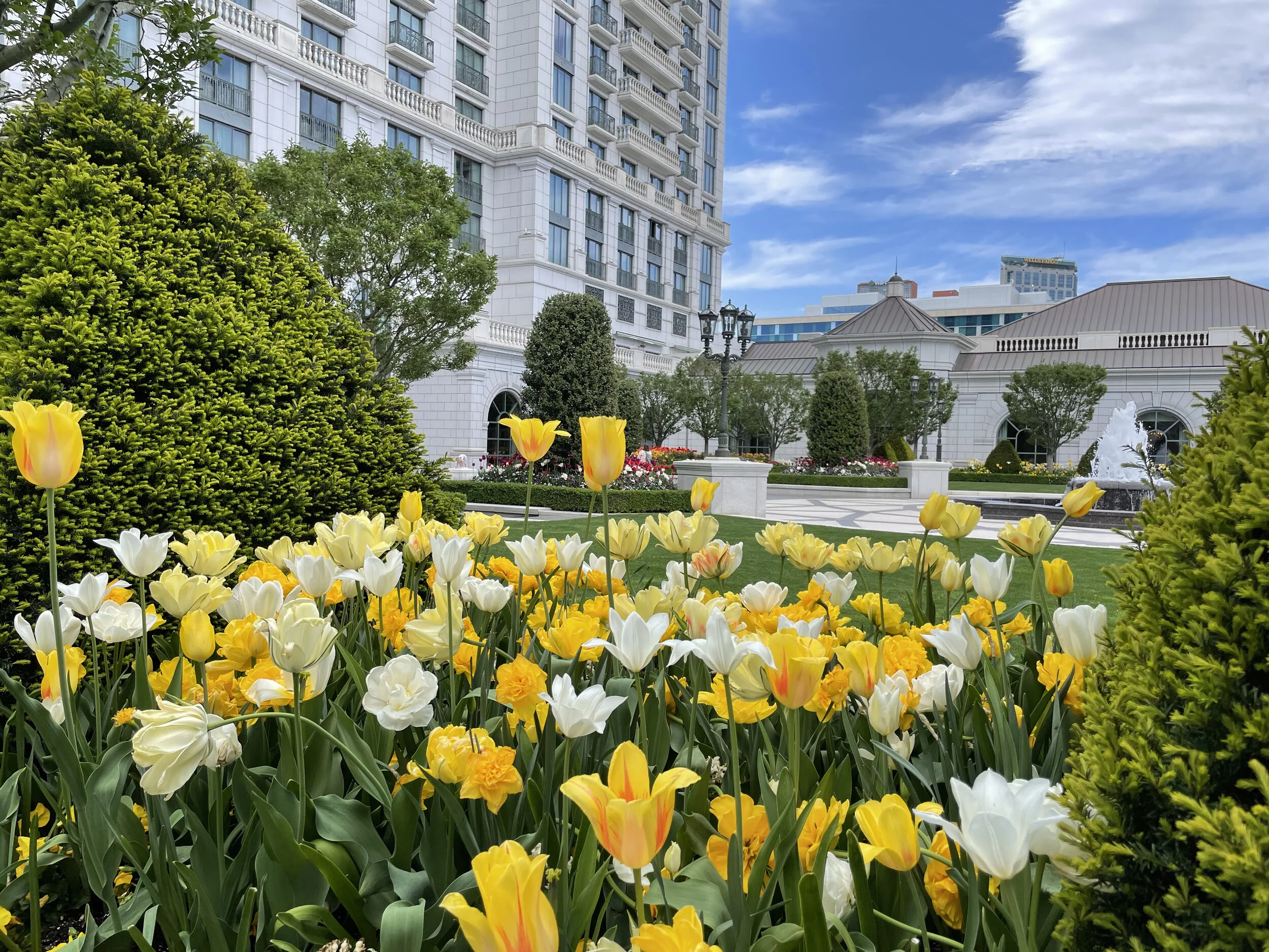 (375)  2 over 1 Game Forcing:   Responder's Rebids after 1NT Semi-Forcing Response