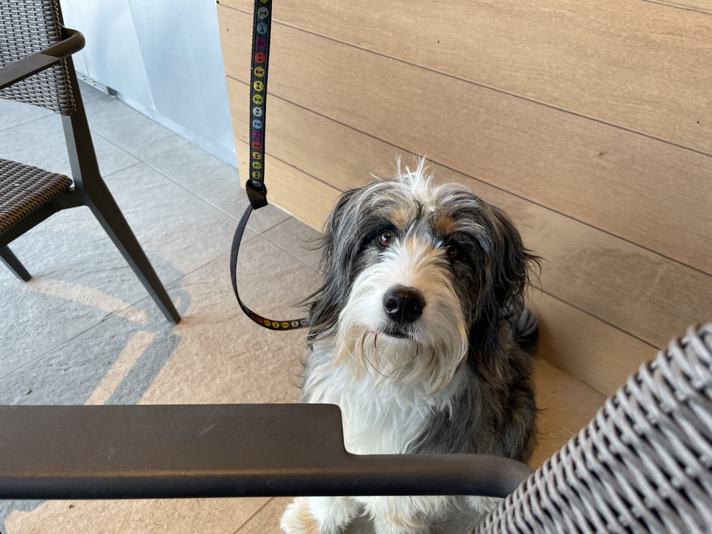 (377)  2 over 1 Game Forcing:  Slam Tries