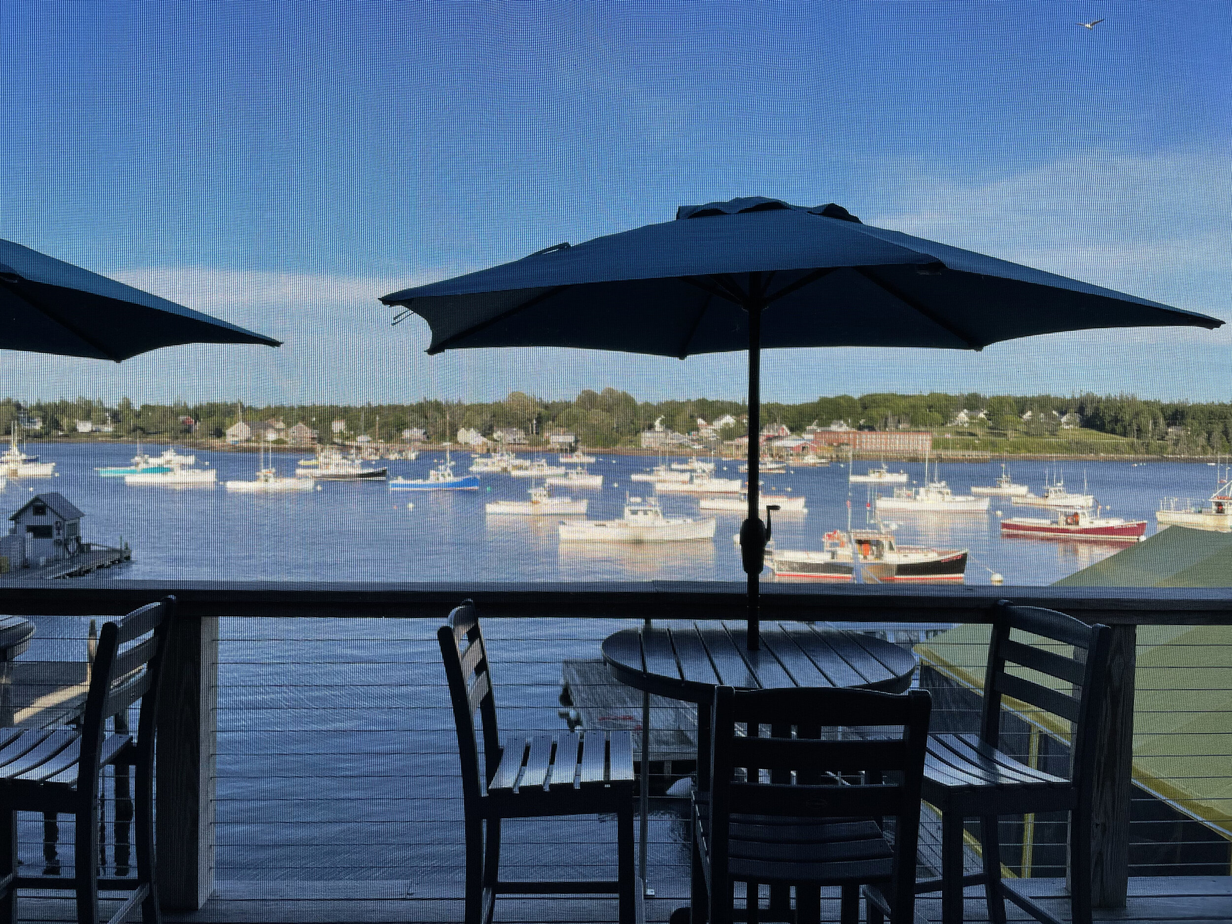 (379)  Raising Partner's Suit:  Minors