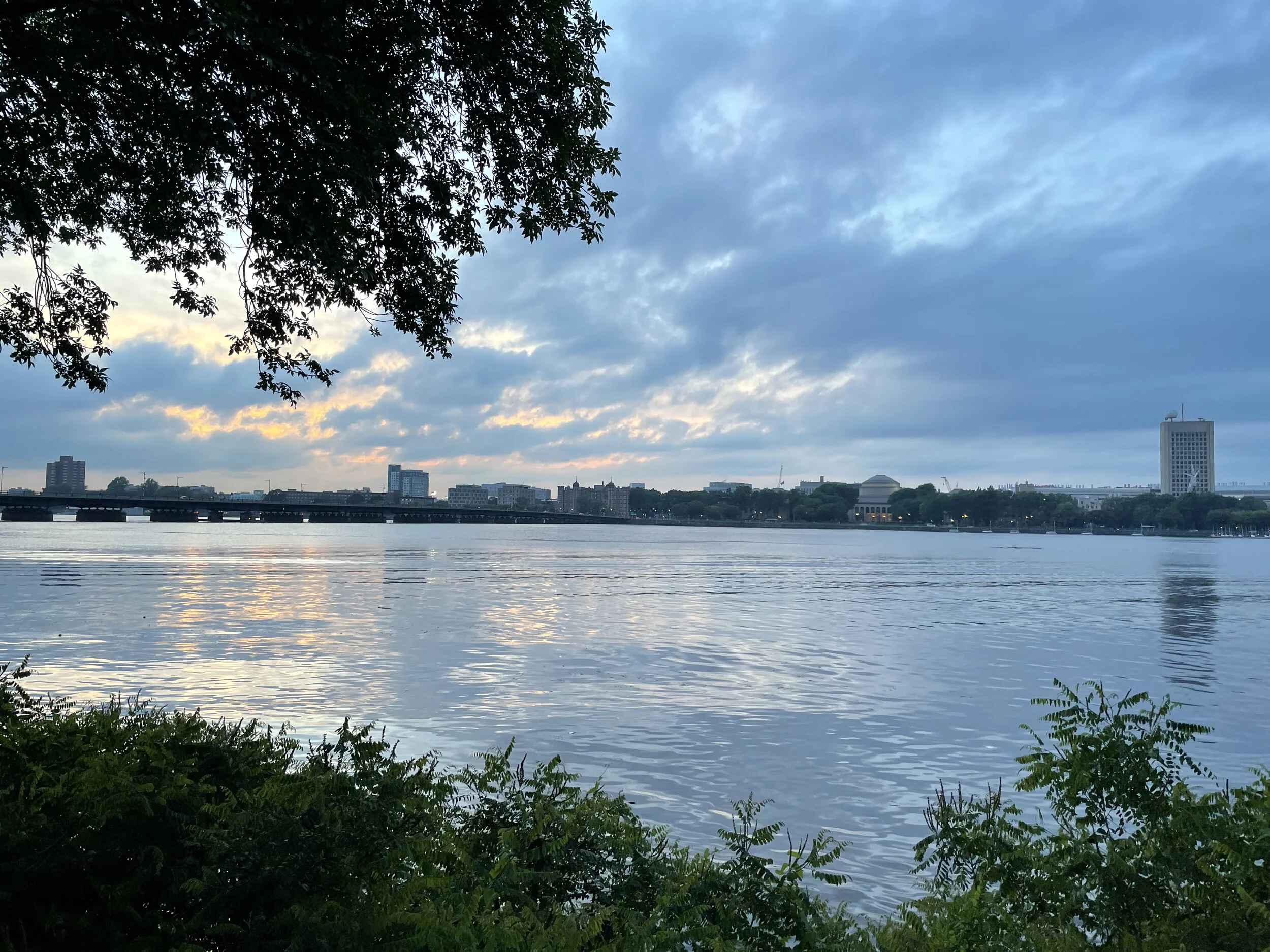 (384)  Raising Advancer's Suit