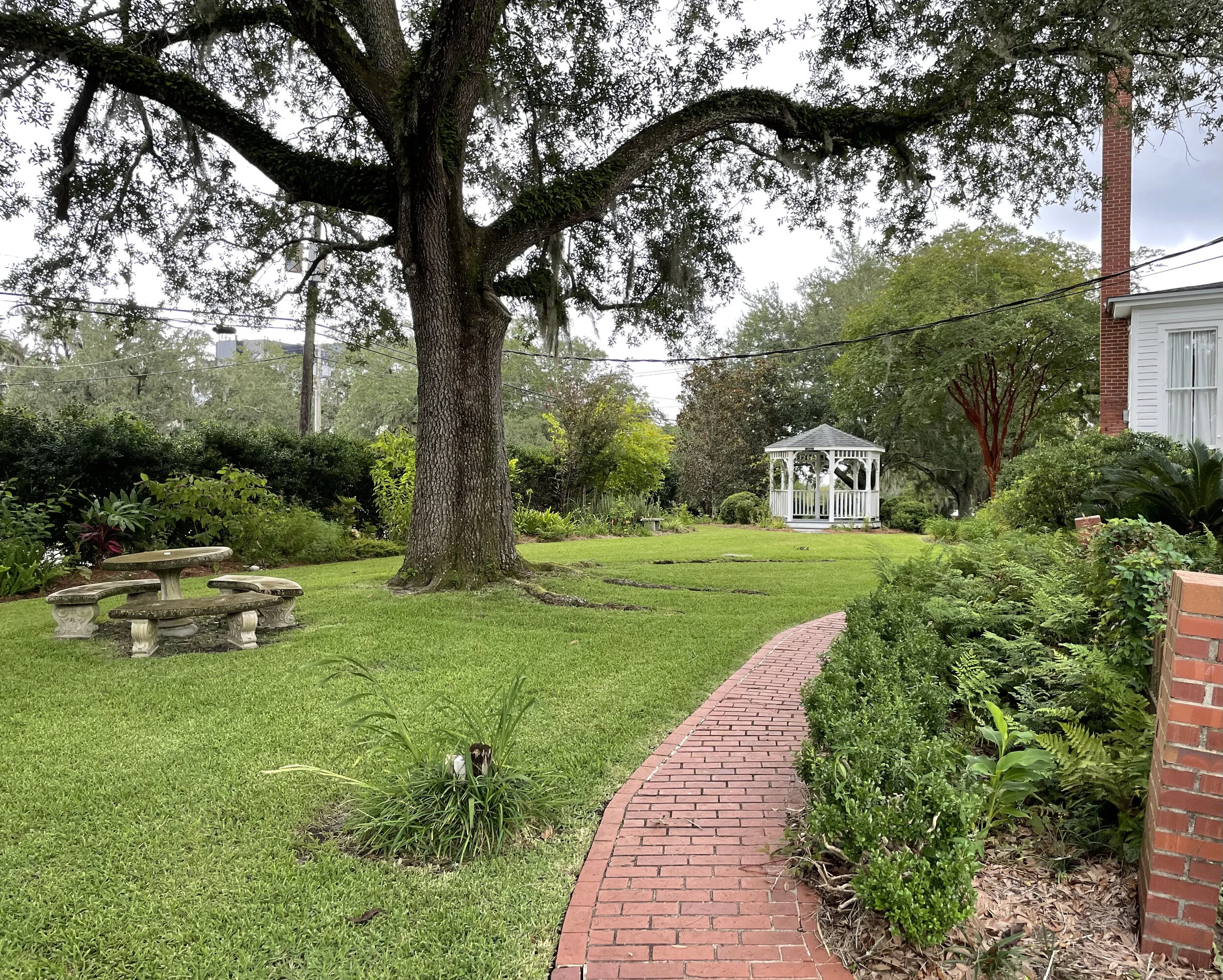 (390)  NT Play:  Hold Up Plays