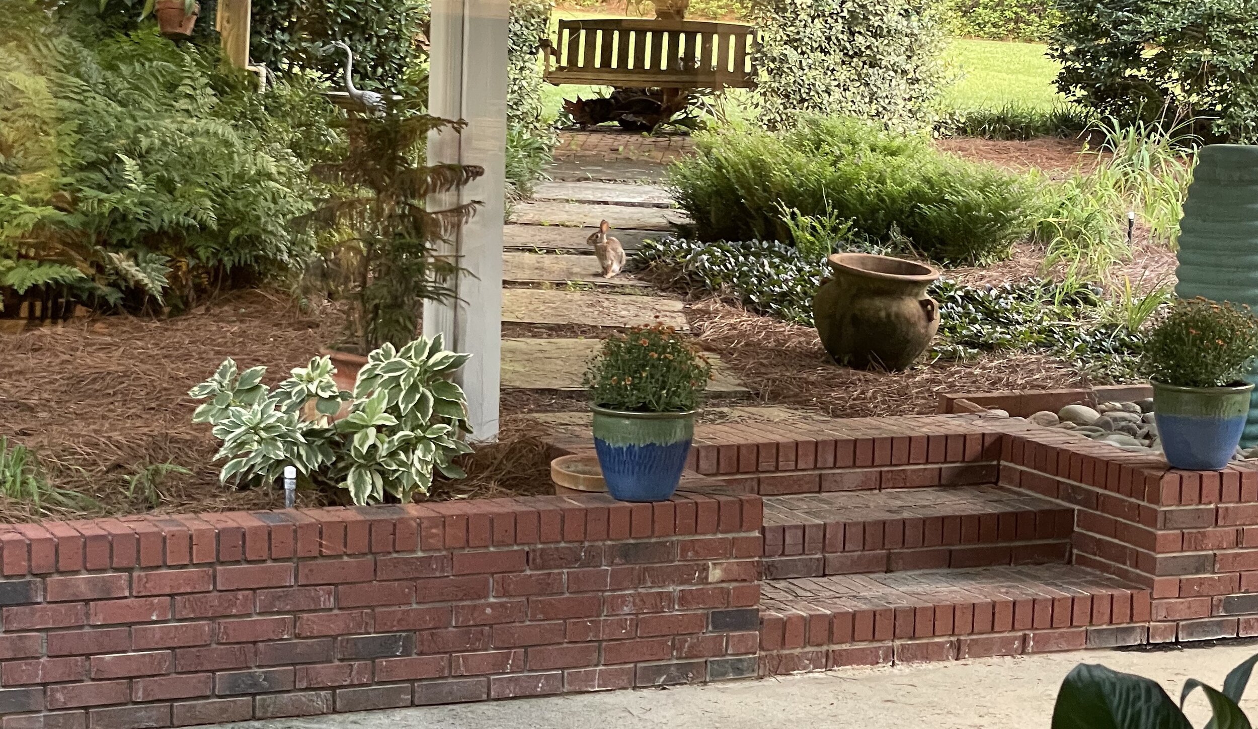 (388)  NT Play:  Finesses of Many Kinds