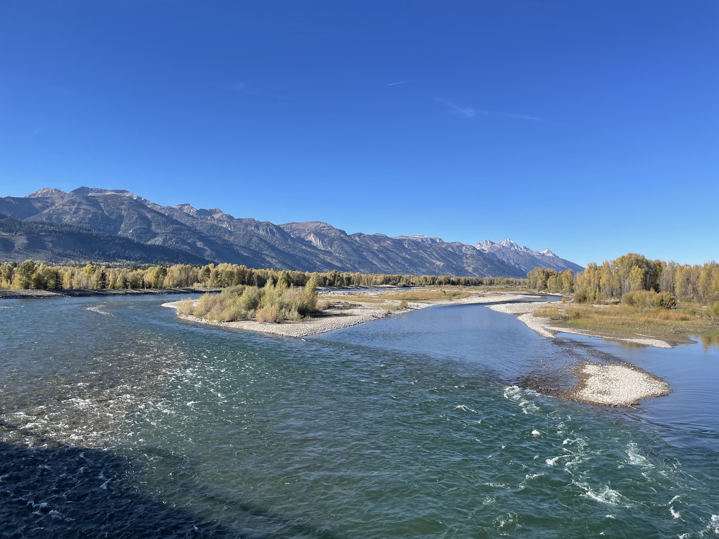 (394) Opening Leads: Card Combinations