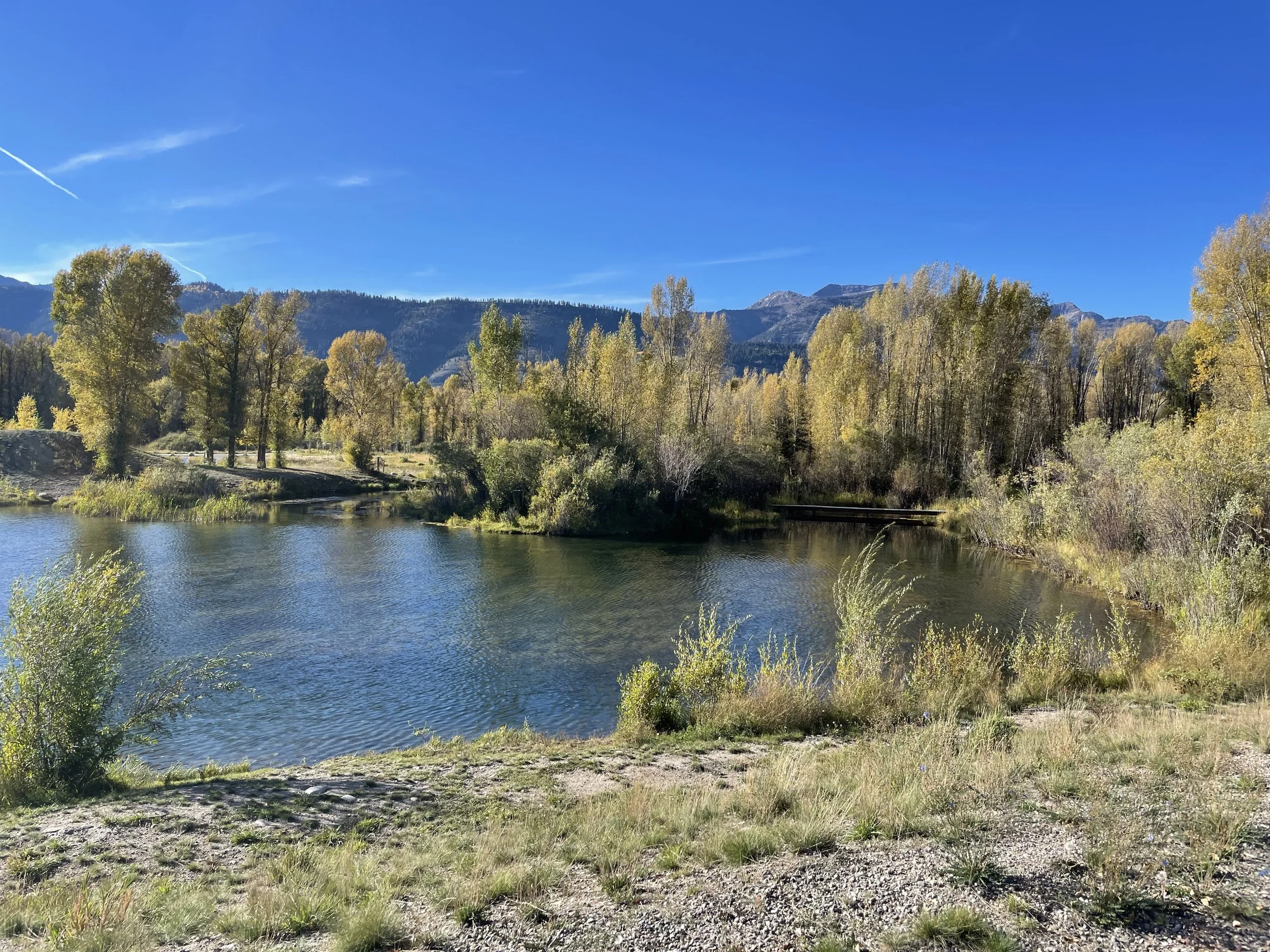 (395) Opening Leads: Rule of 11