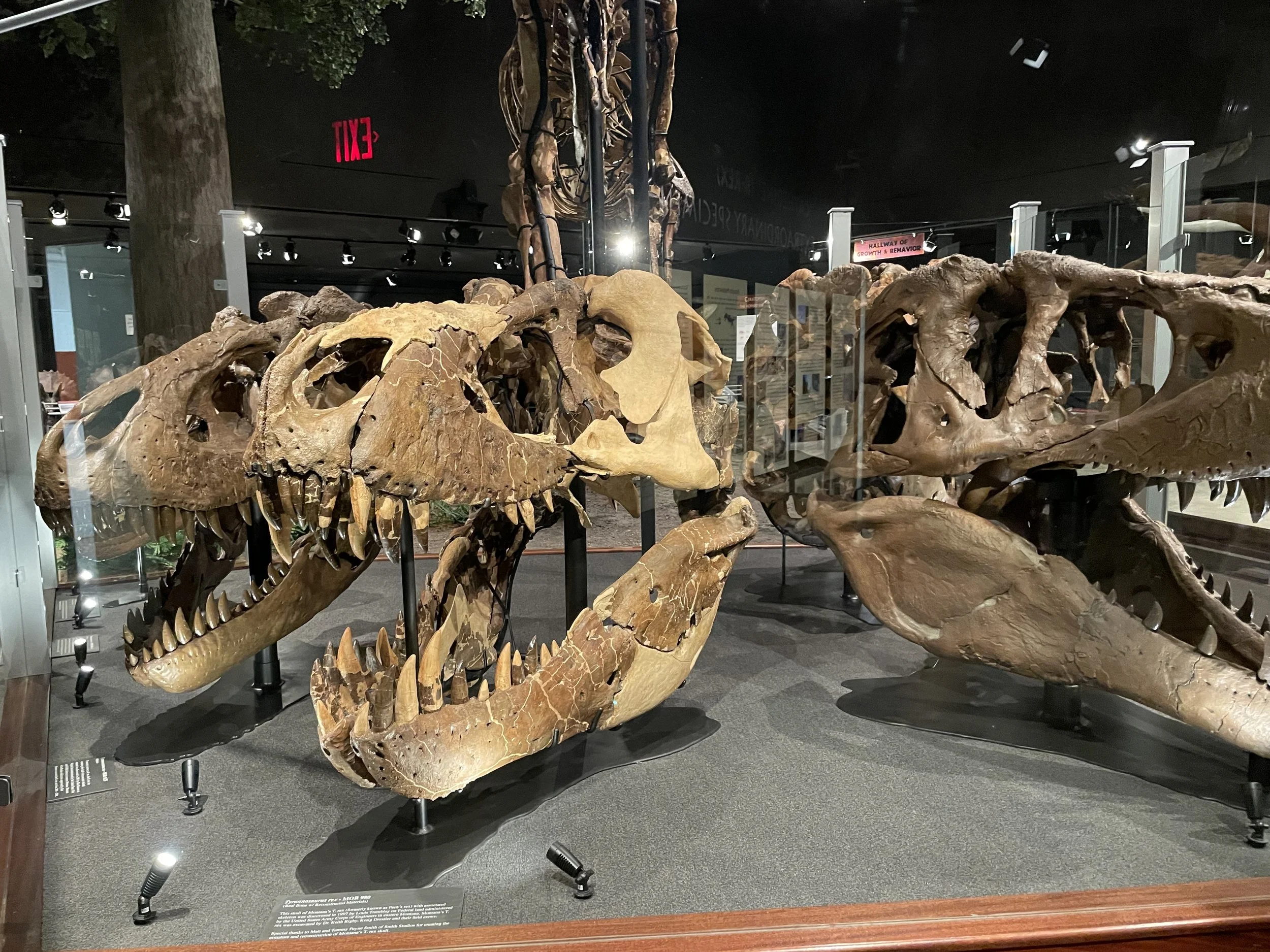 (398) Opening Leads: Power Leads