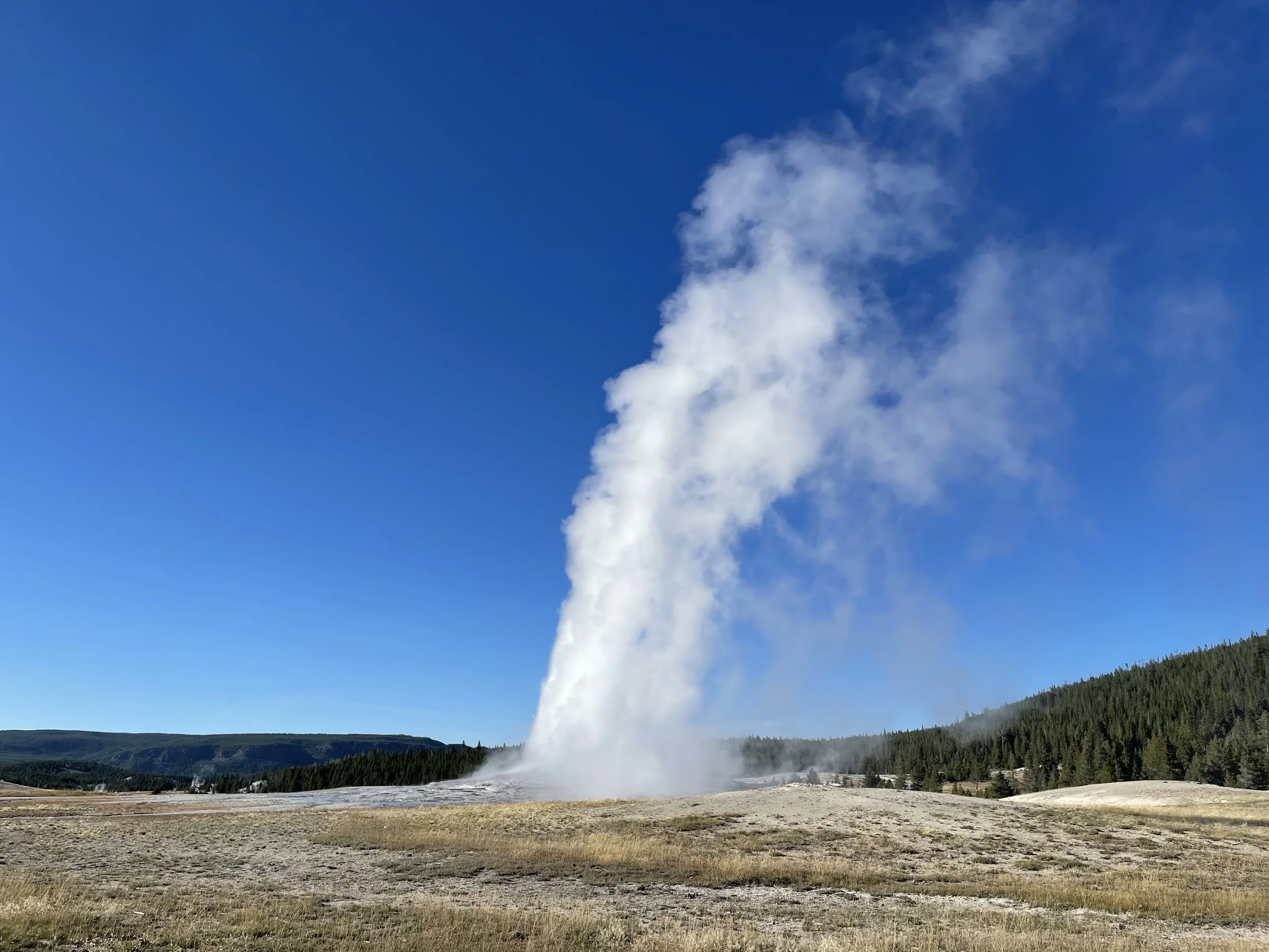 (400) Opening Leads: Rule of 10/12