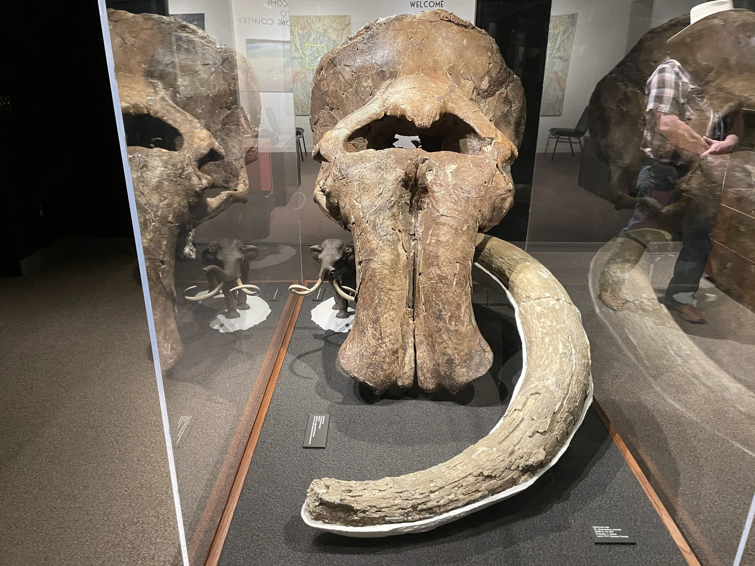 (396)  Opening Leads:  Leading Partner's Suit