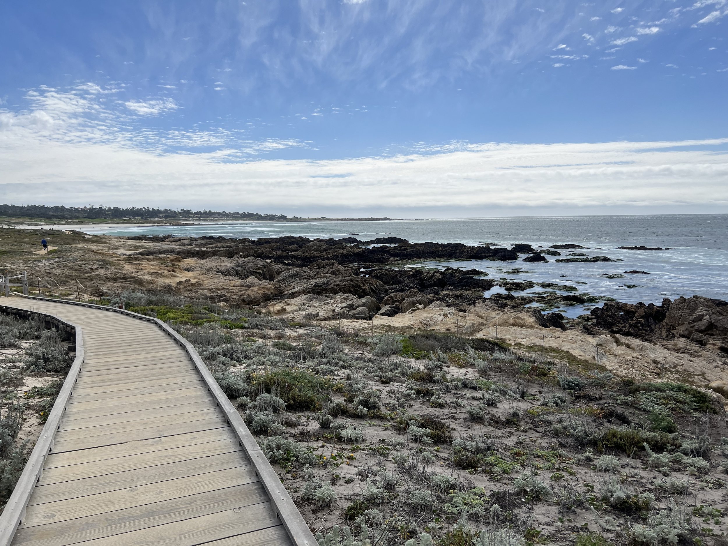 (426)  2/1:  Special 2M and 2NT Rebids