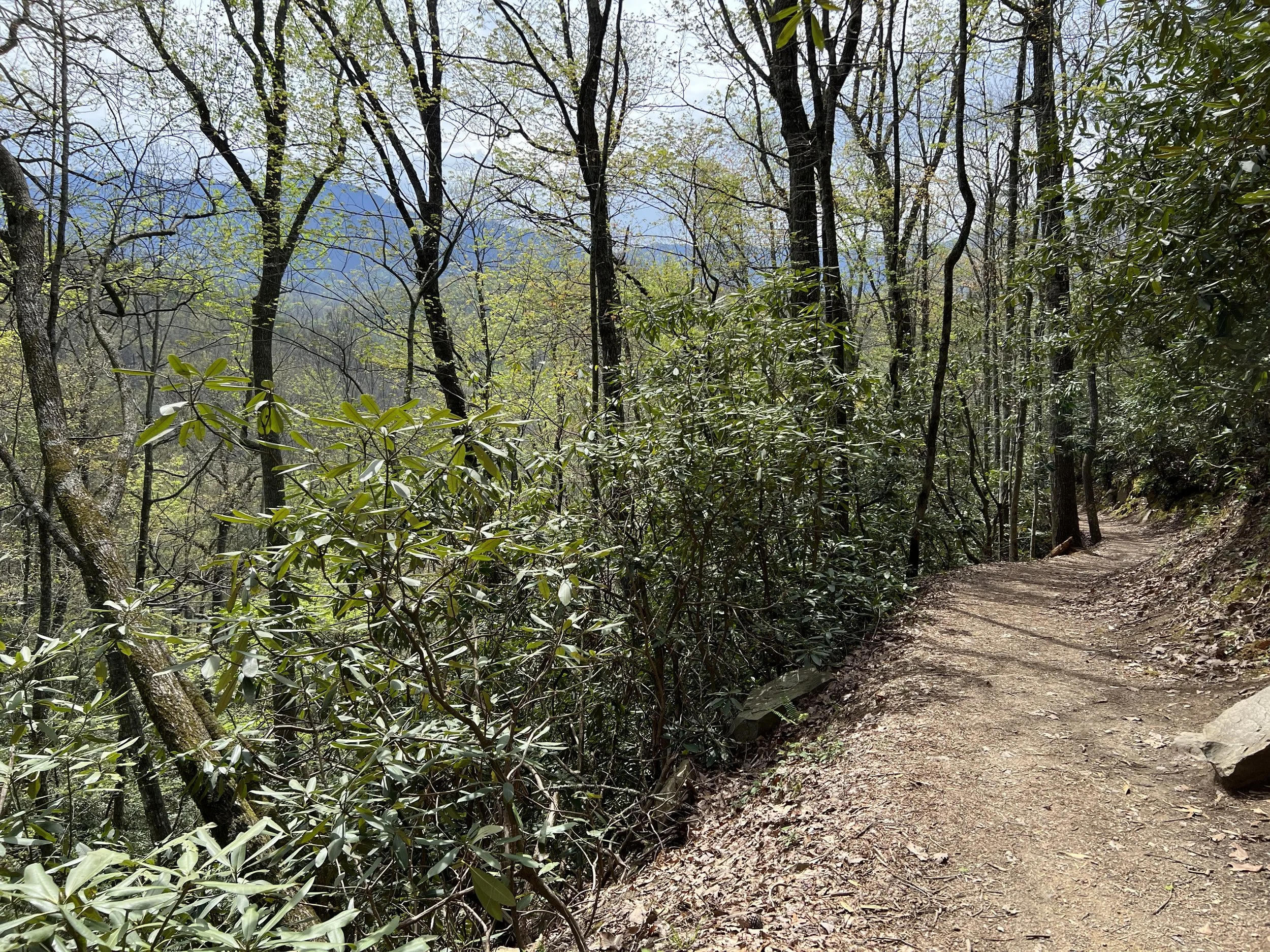 (427)  2/1:   In Competition