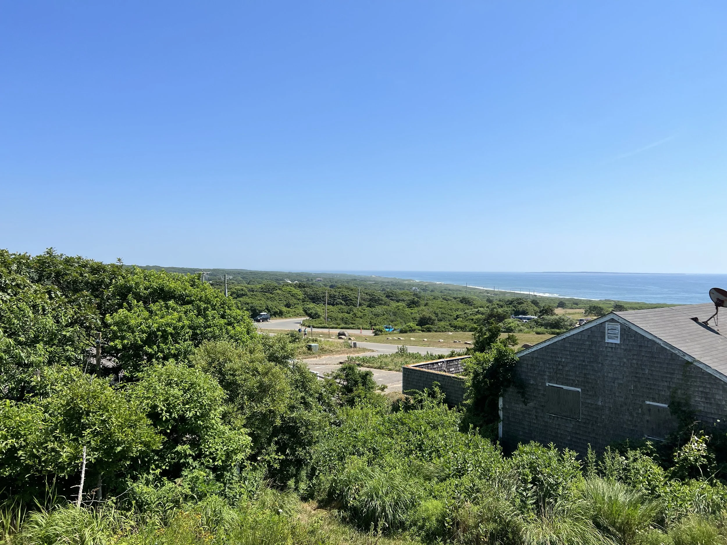 (433)  Competitive Bidding:  Balancing by Responder