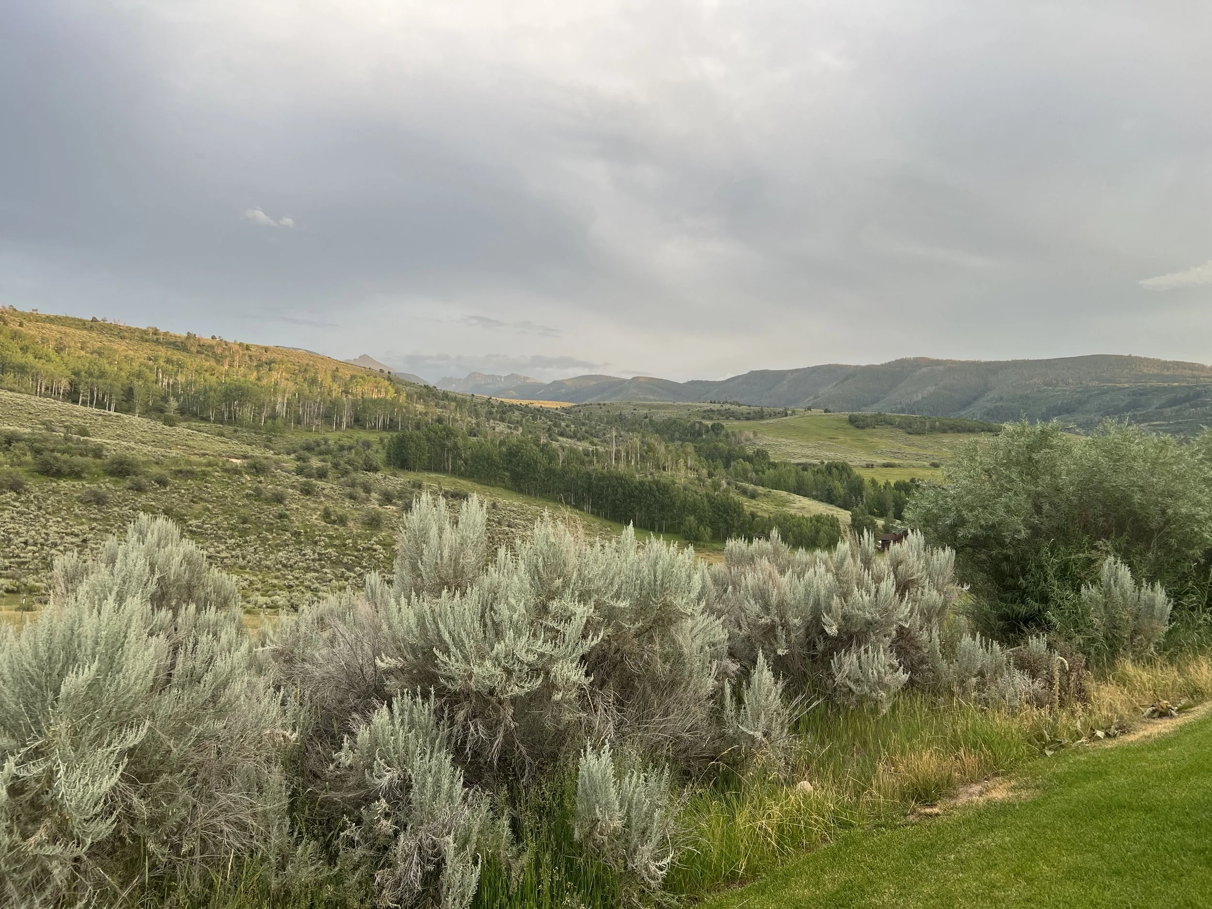 (440) Suit Contracts: Support Points