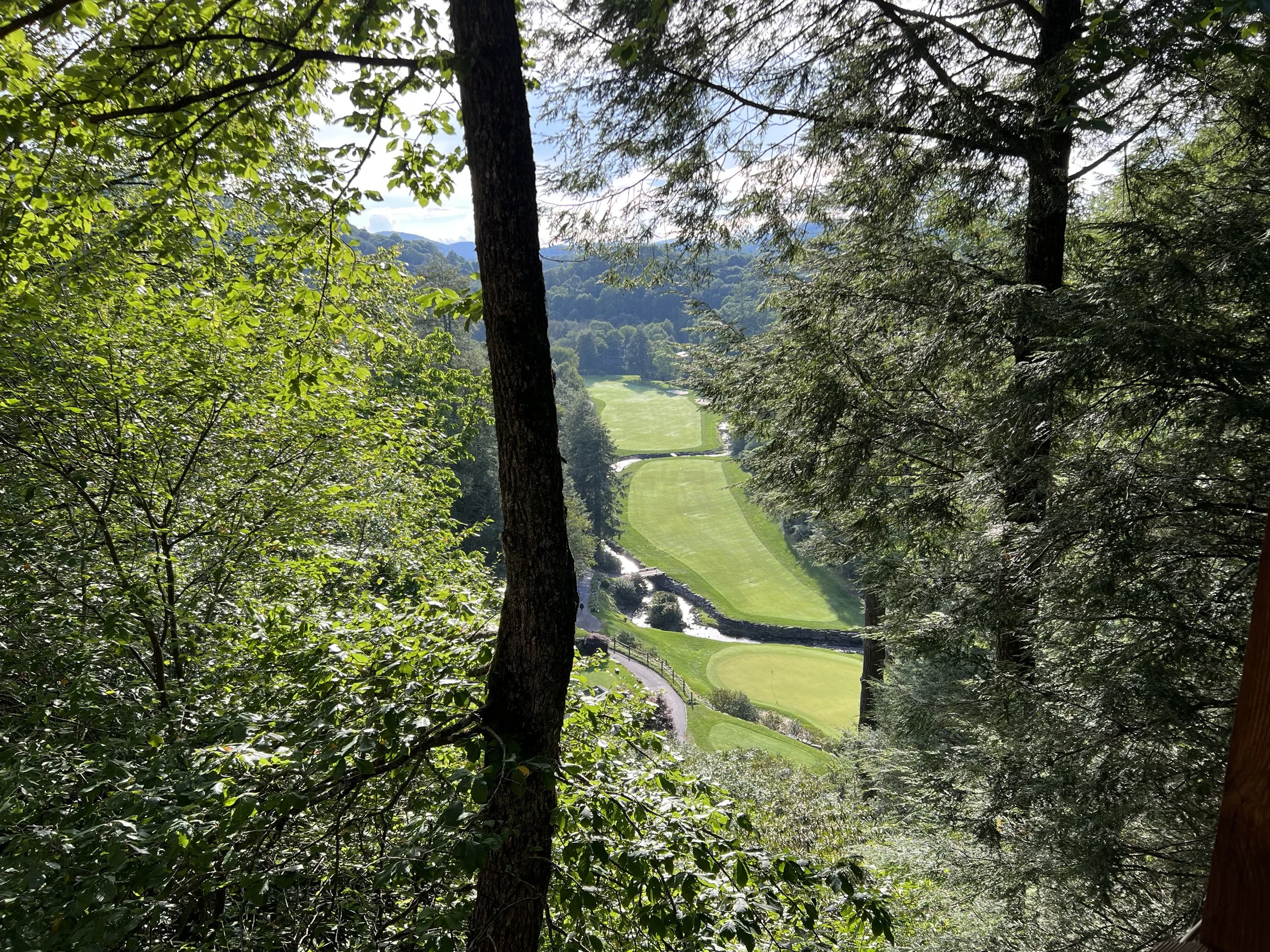 (448)  Defense Basics: Opening Leads - Listen to the Auction