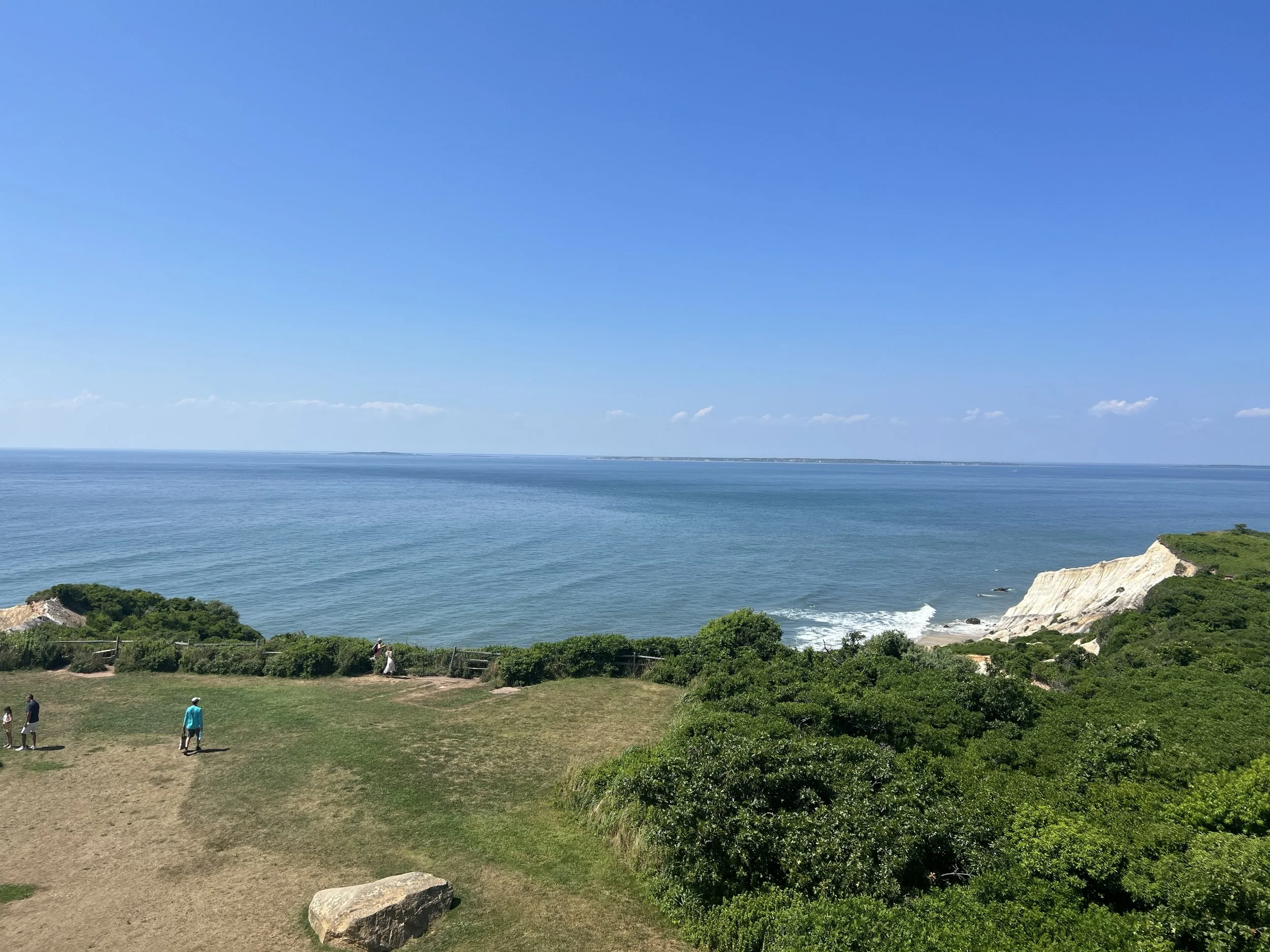 (456)  Partnership Bidding: Our Major Suit Auctions