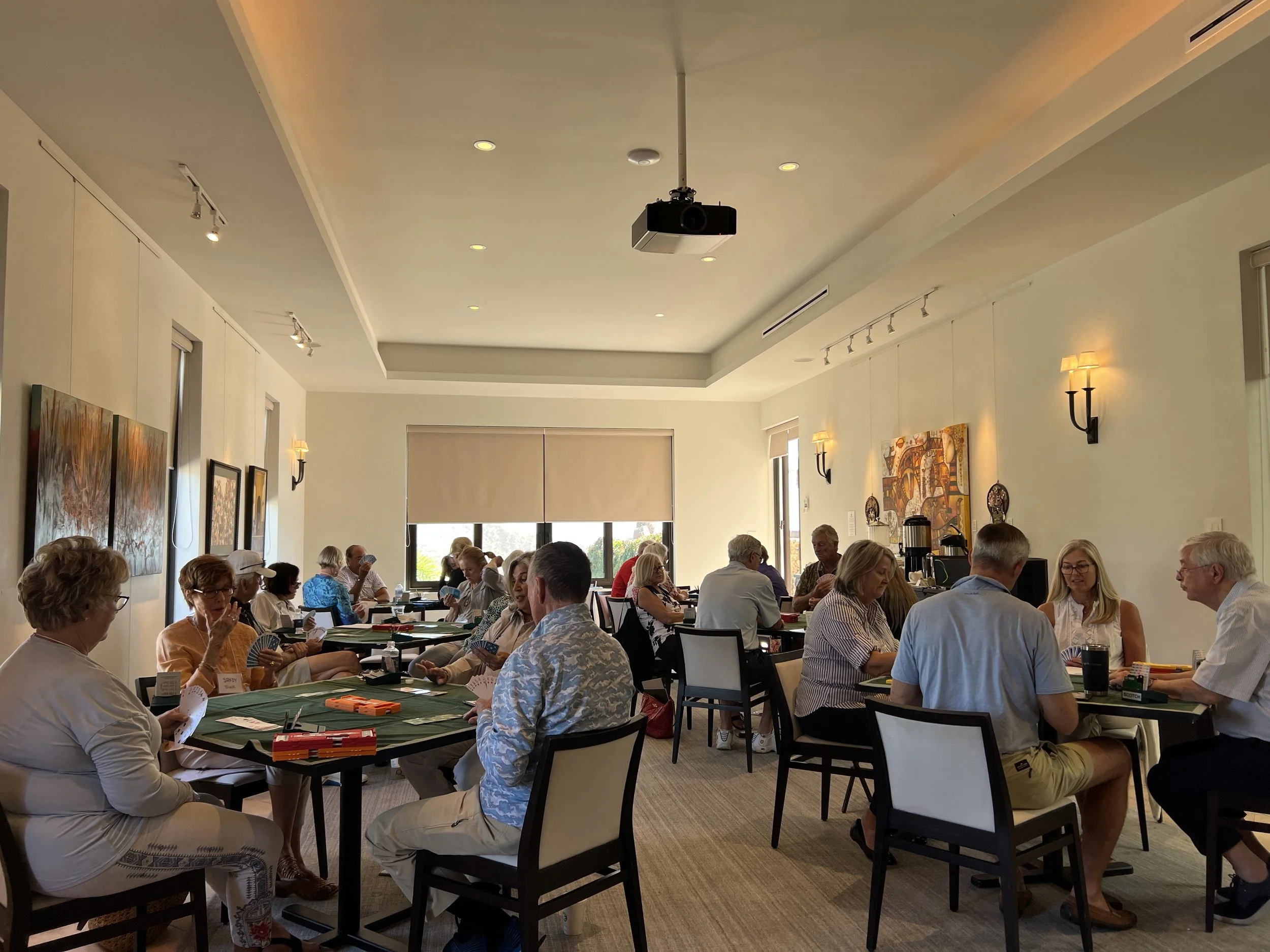 (459)  Partnership Bidding:  Their NT Opening Auctions