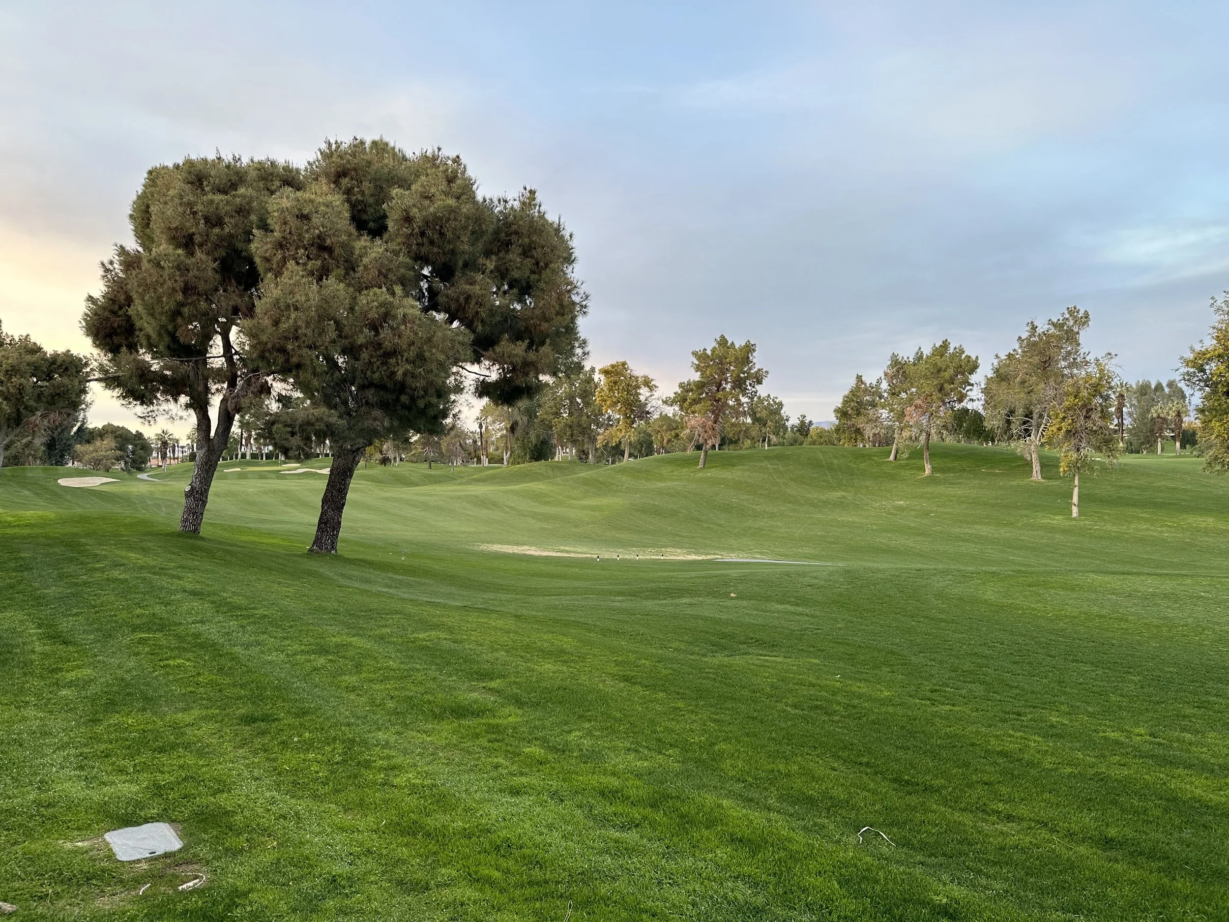 (467)  Lead-Directing Doubles