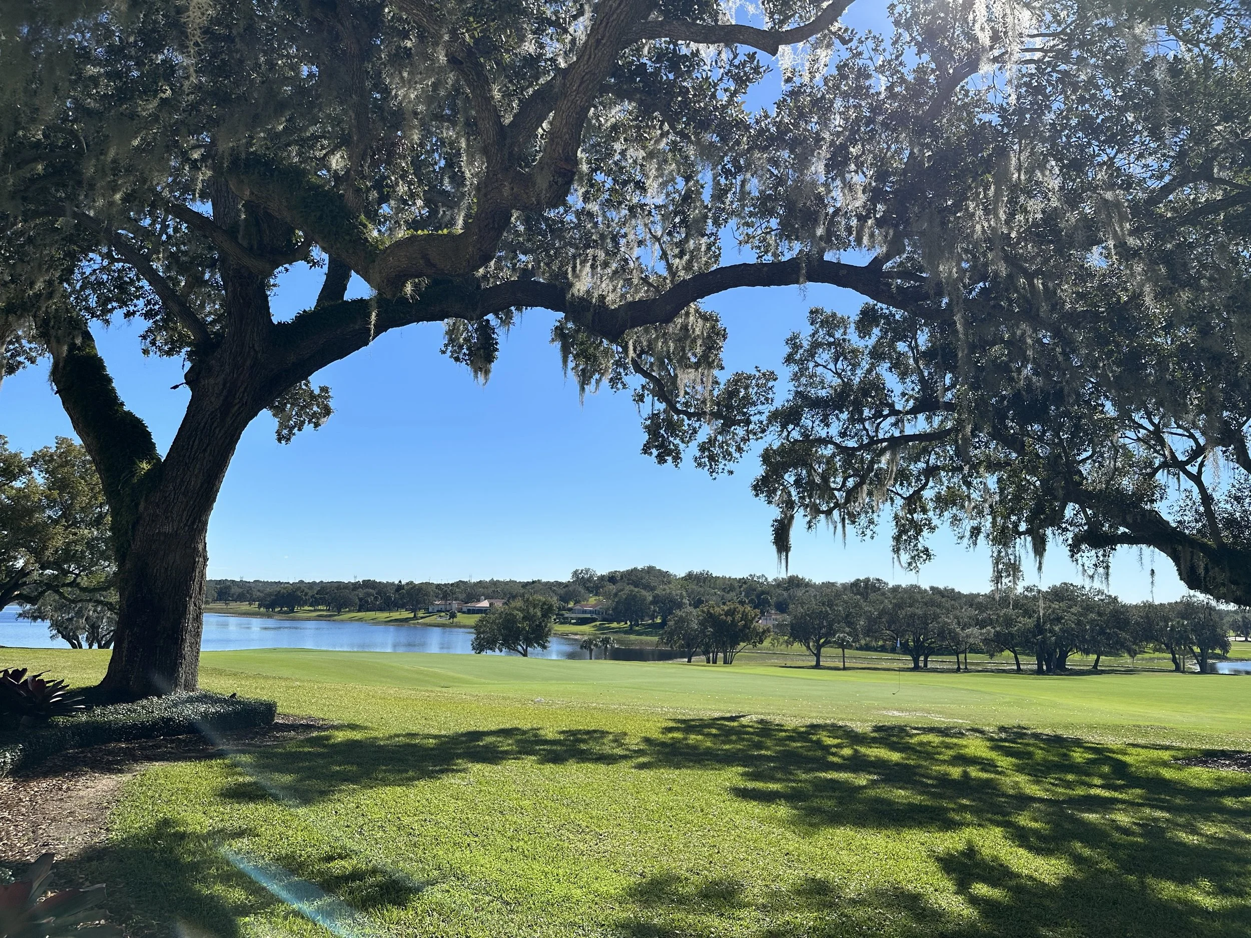 Mt Lake, FL Seminars