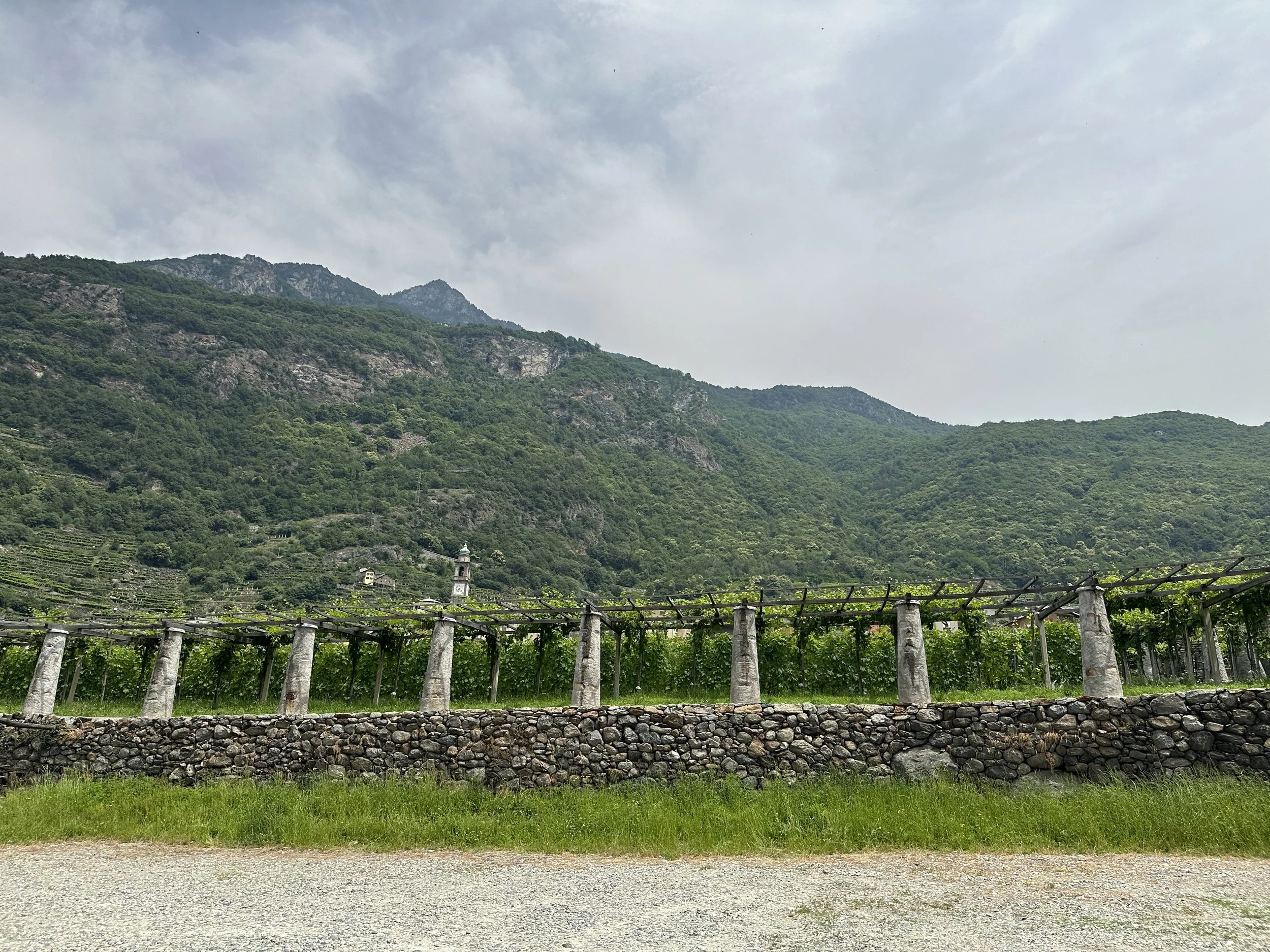 (480)   Competitive Bidding: Michaels Cuebid