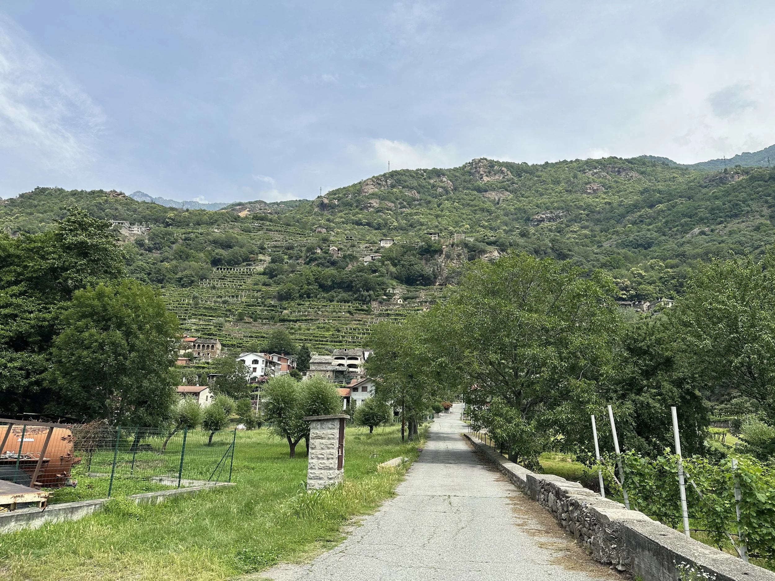 (482)   Competitive Bidding:  Simple Overcalls by Level