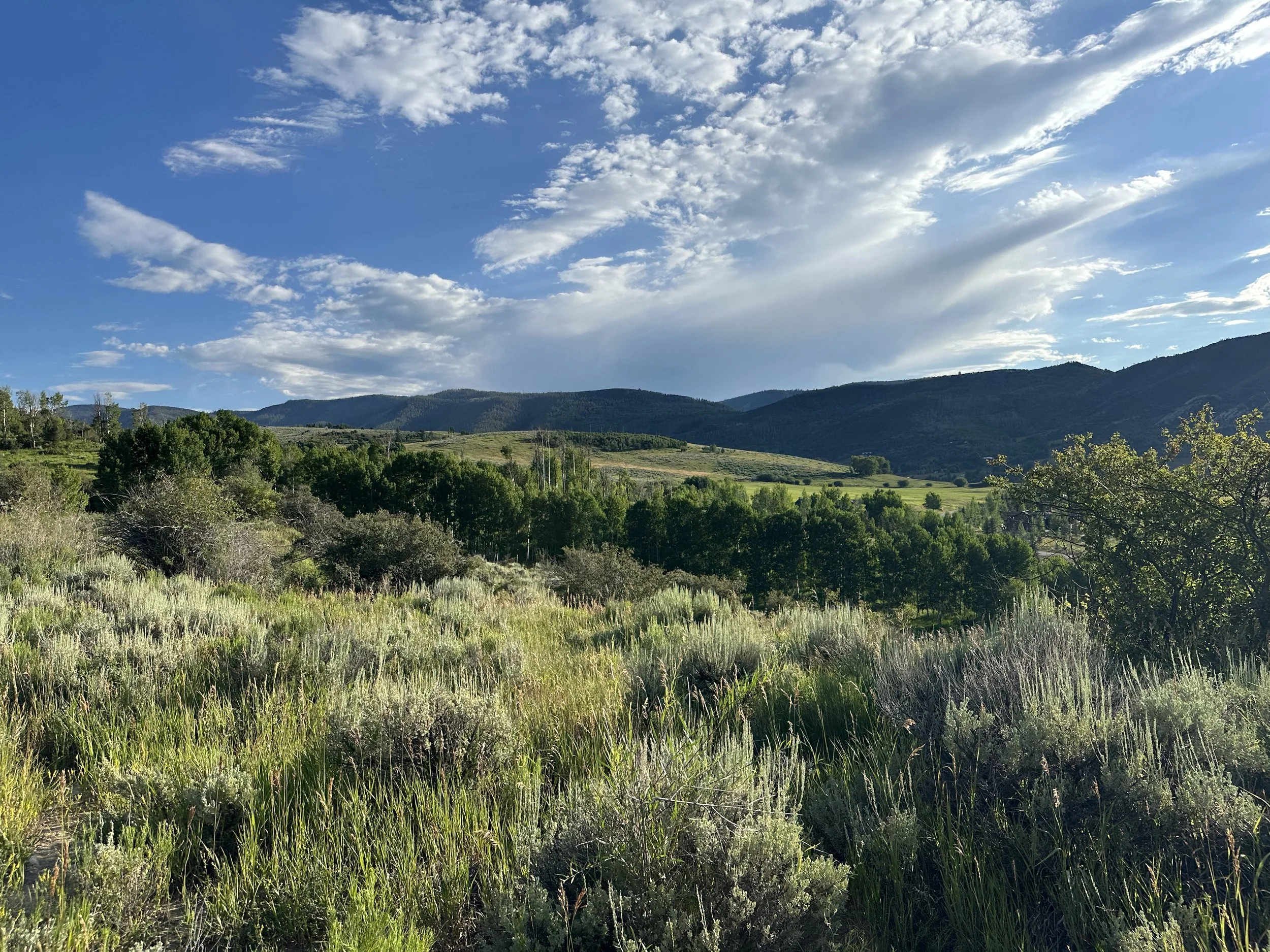 (490)  Advanced Card Play: Optimistic and Pessimistic Declarer Play