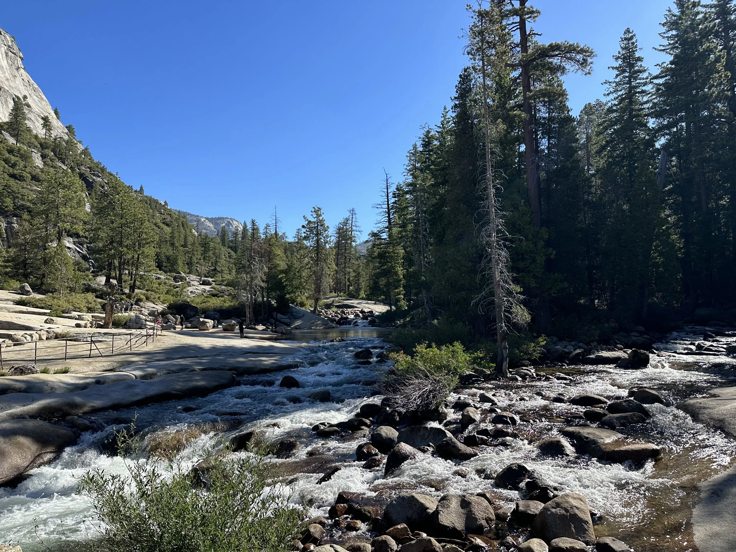 (494)  Advanced Card Play:   Endplays