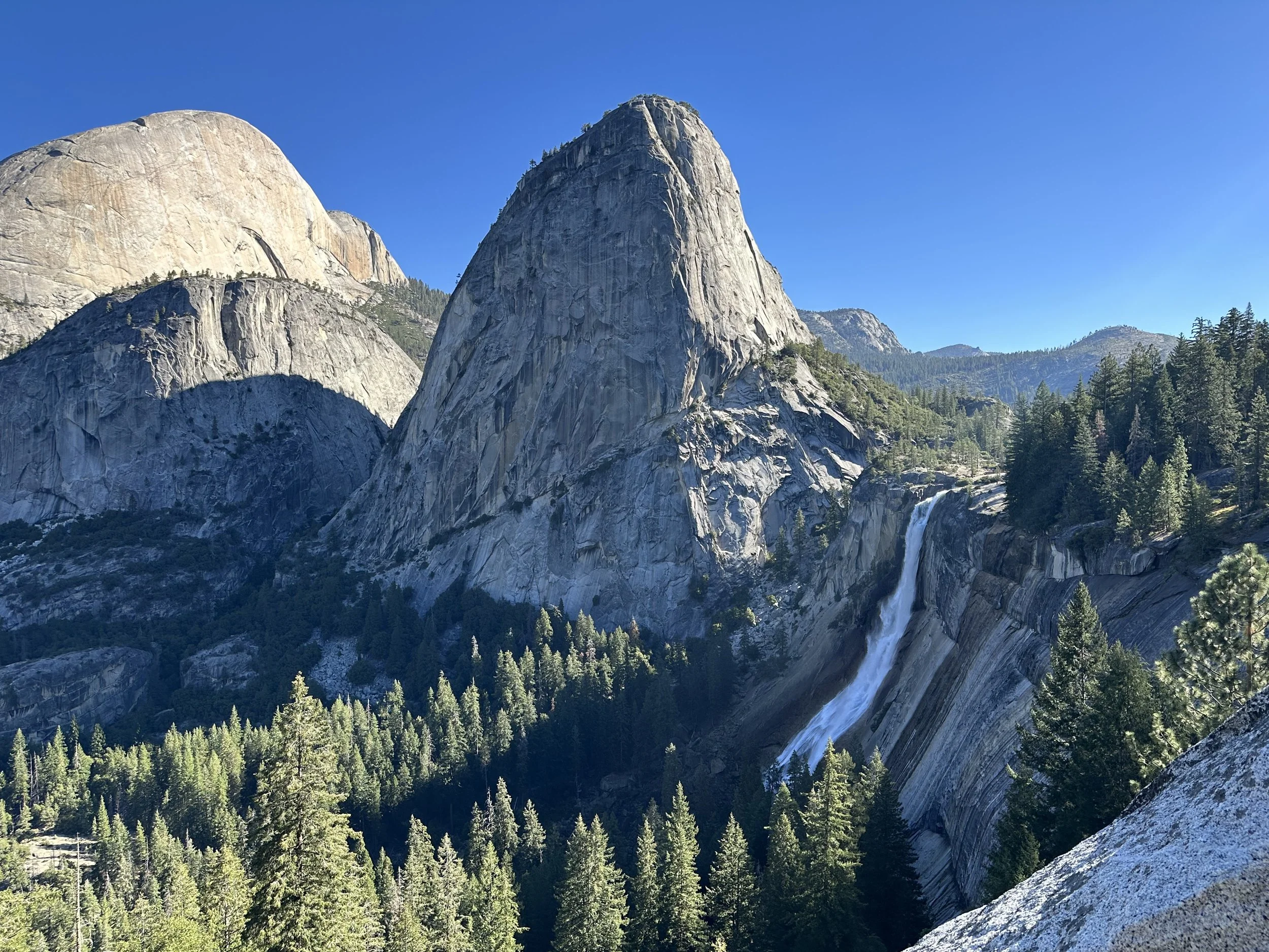 (495)  Advanced Card Play: Smother Play