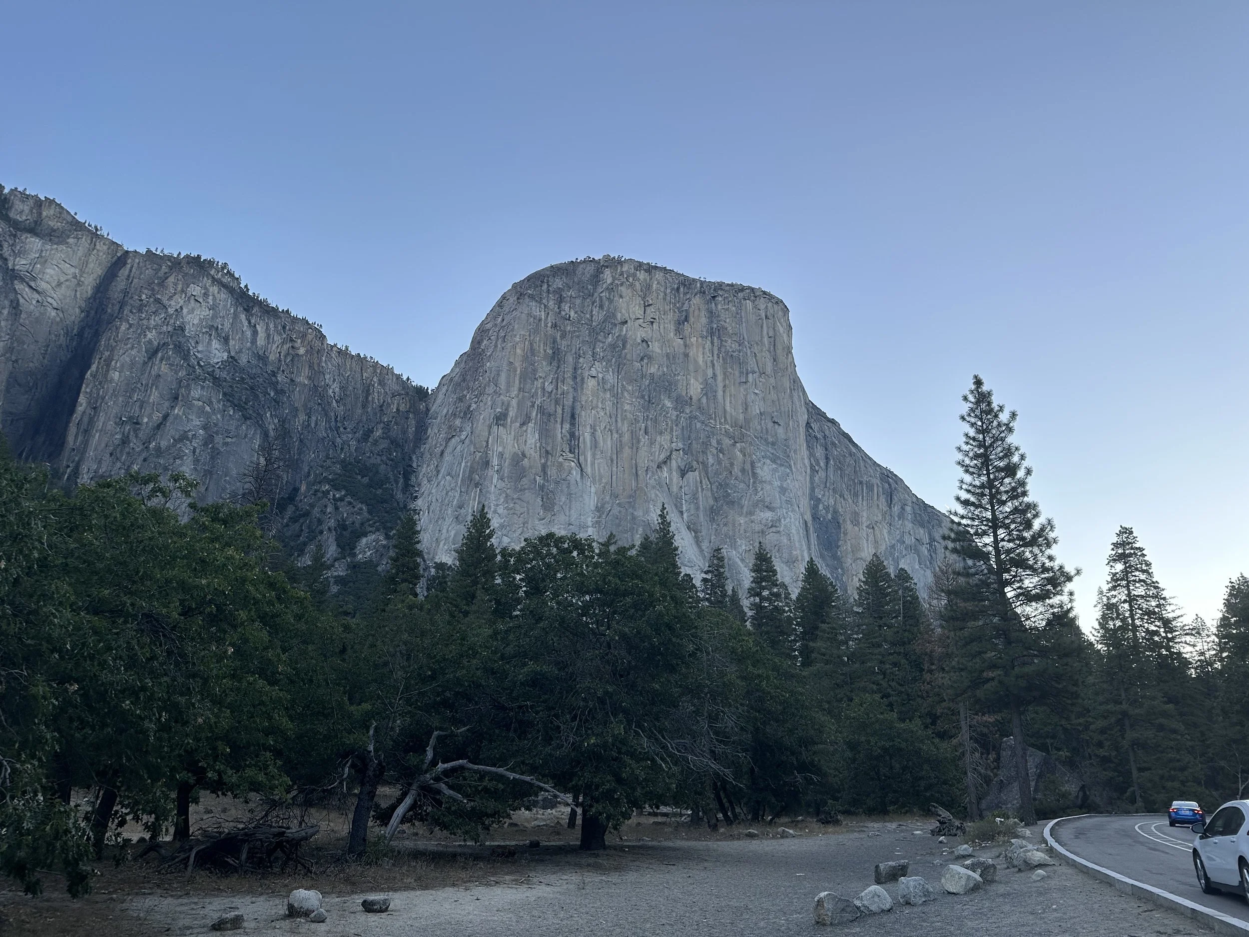 (496)  Advanced Card Play: Threat Cards