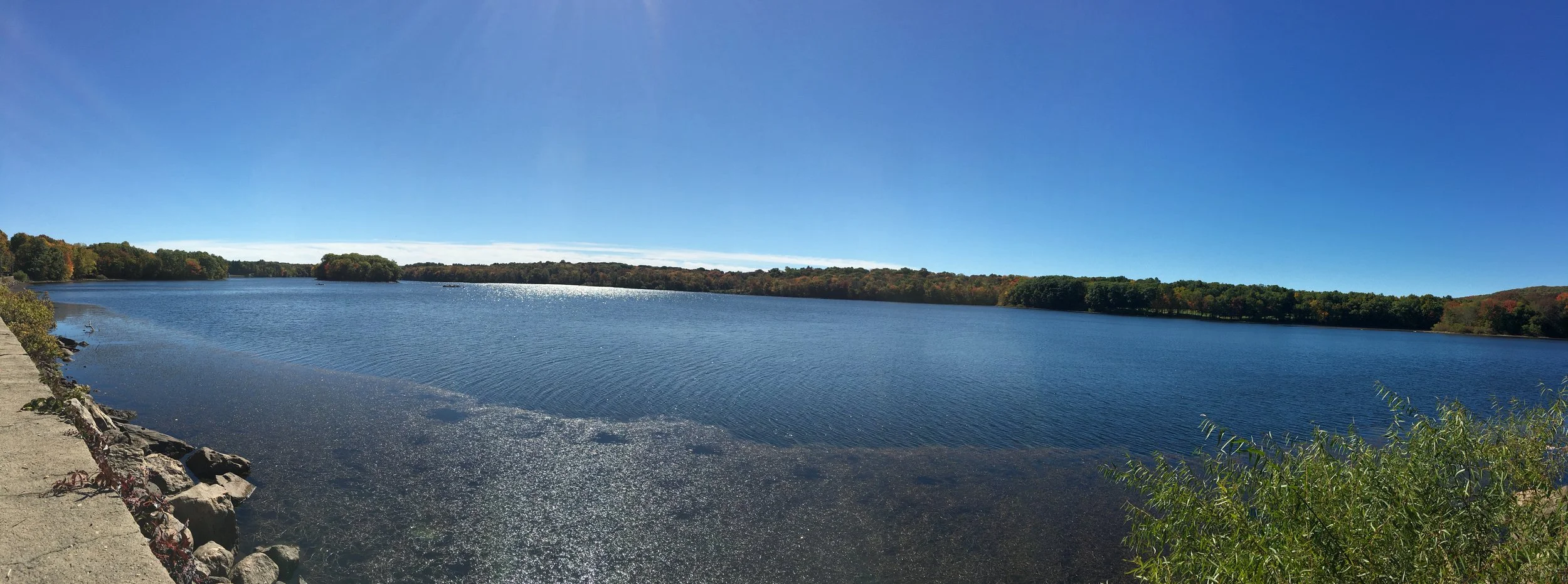 Ruffing it in the Hamptons 