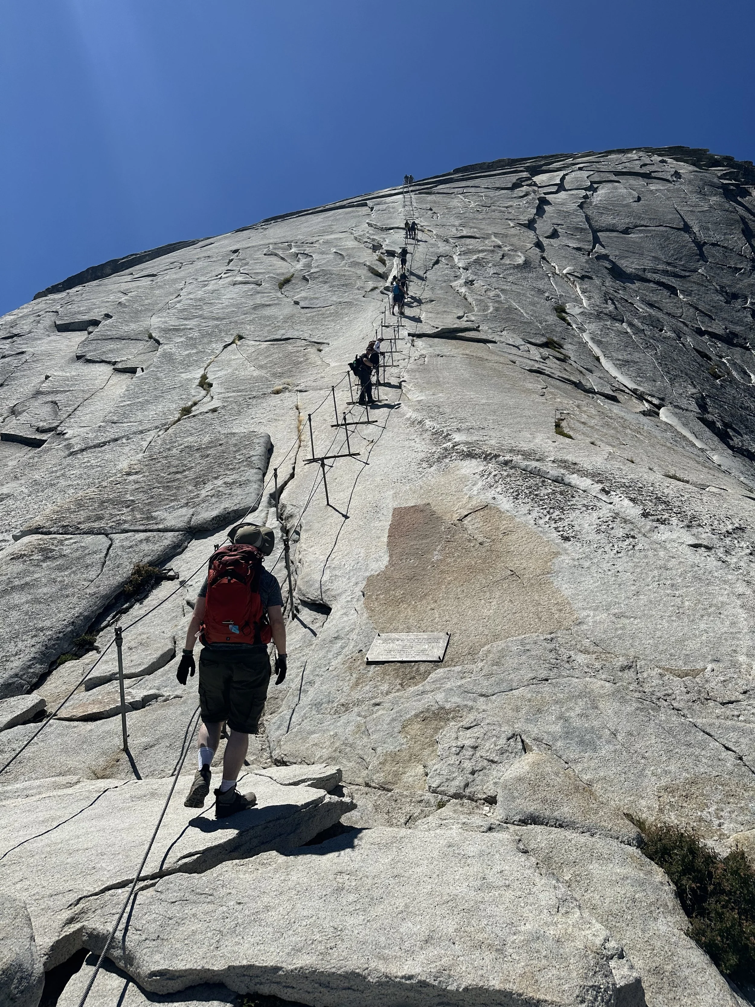 (499) Middle of the Hand Defense:  Getting Our Ruffs